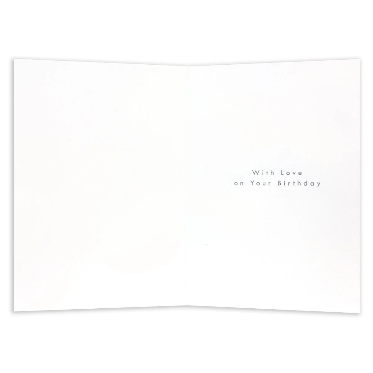 2 Connections from Hallmark Birthday Card For Granddaughter - Today Is Your Day, 2 of 2