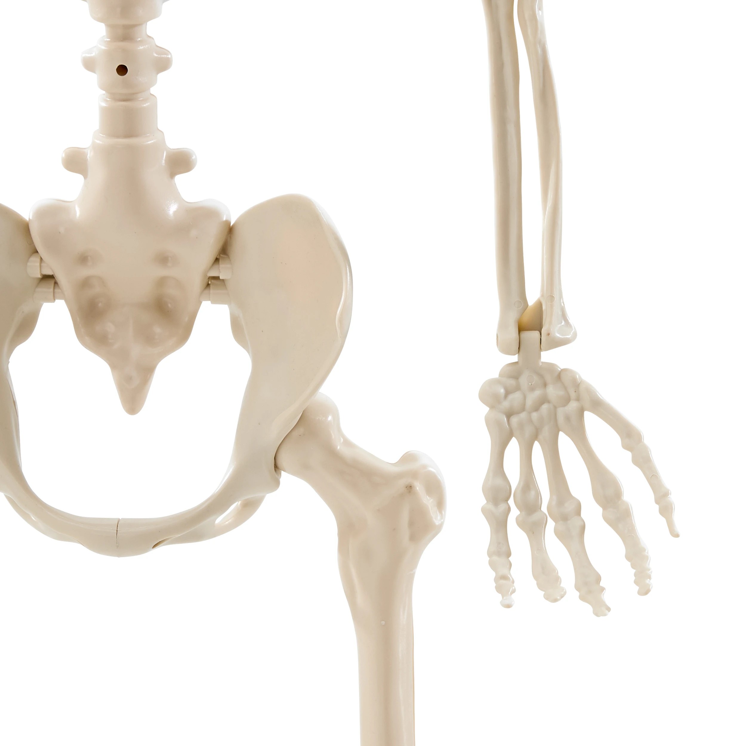 8 Battery Operated LED Light Up Poseable Skeleton, 8 of 9