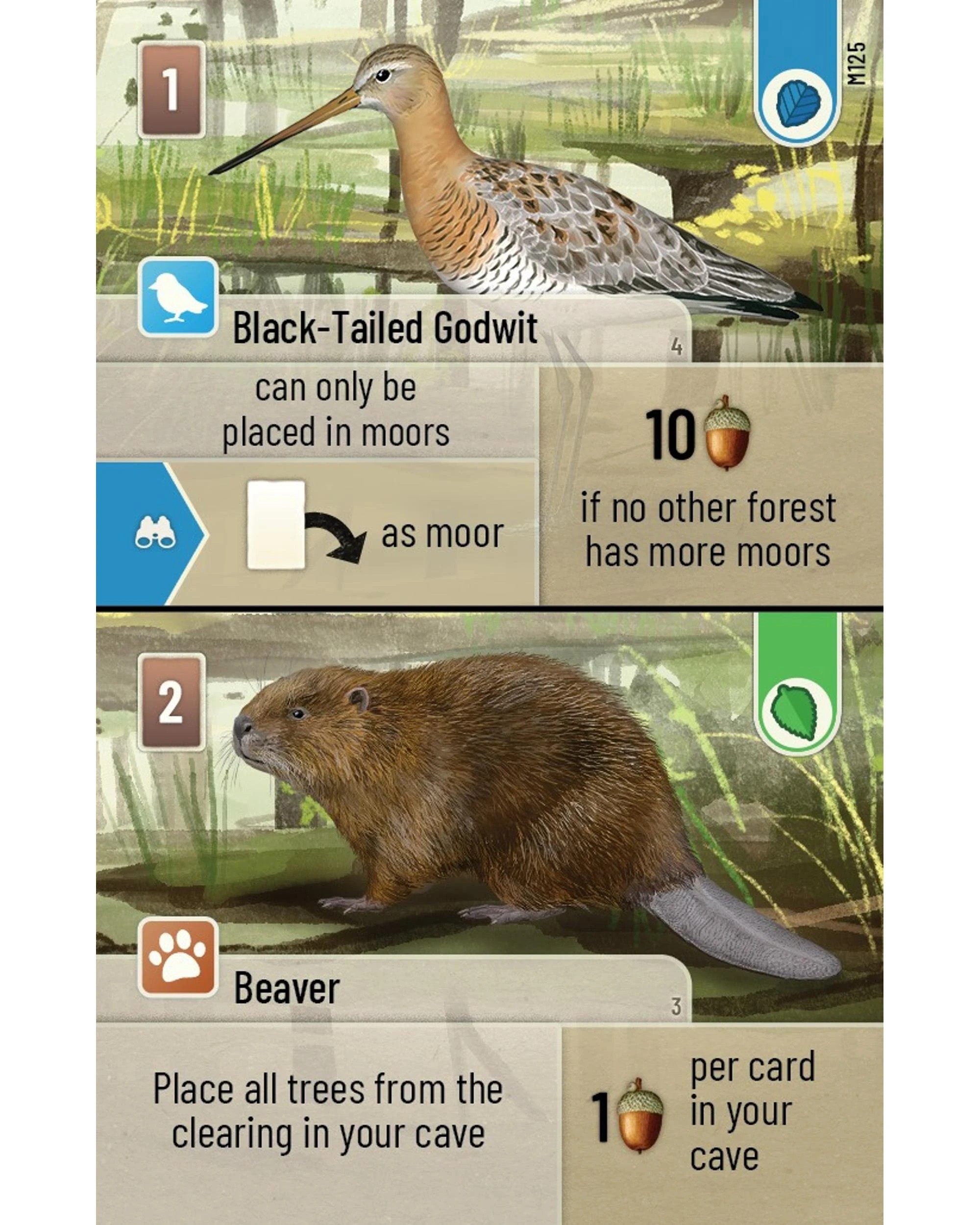 4 Forest Shuffle: Dartmoor Card Game, 4 of 5
