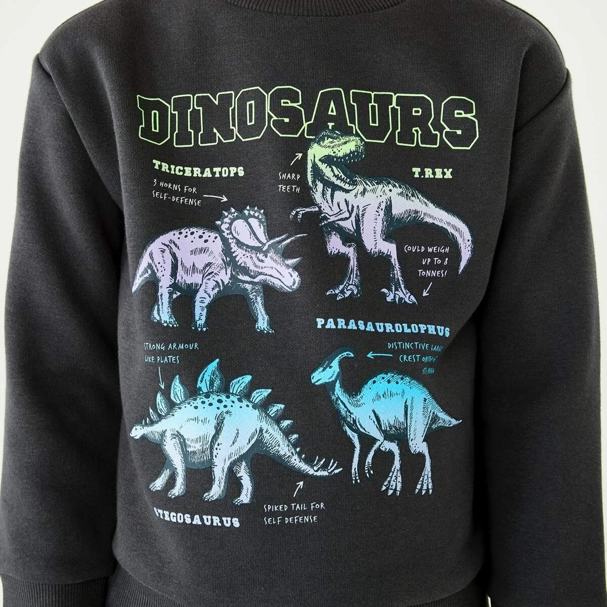 4 Print Crew Neck Sweatshirt Gry Skdino, 4 of 8