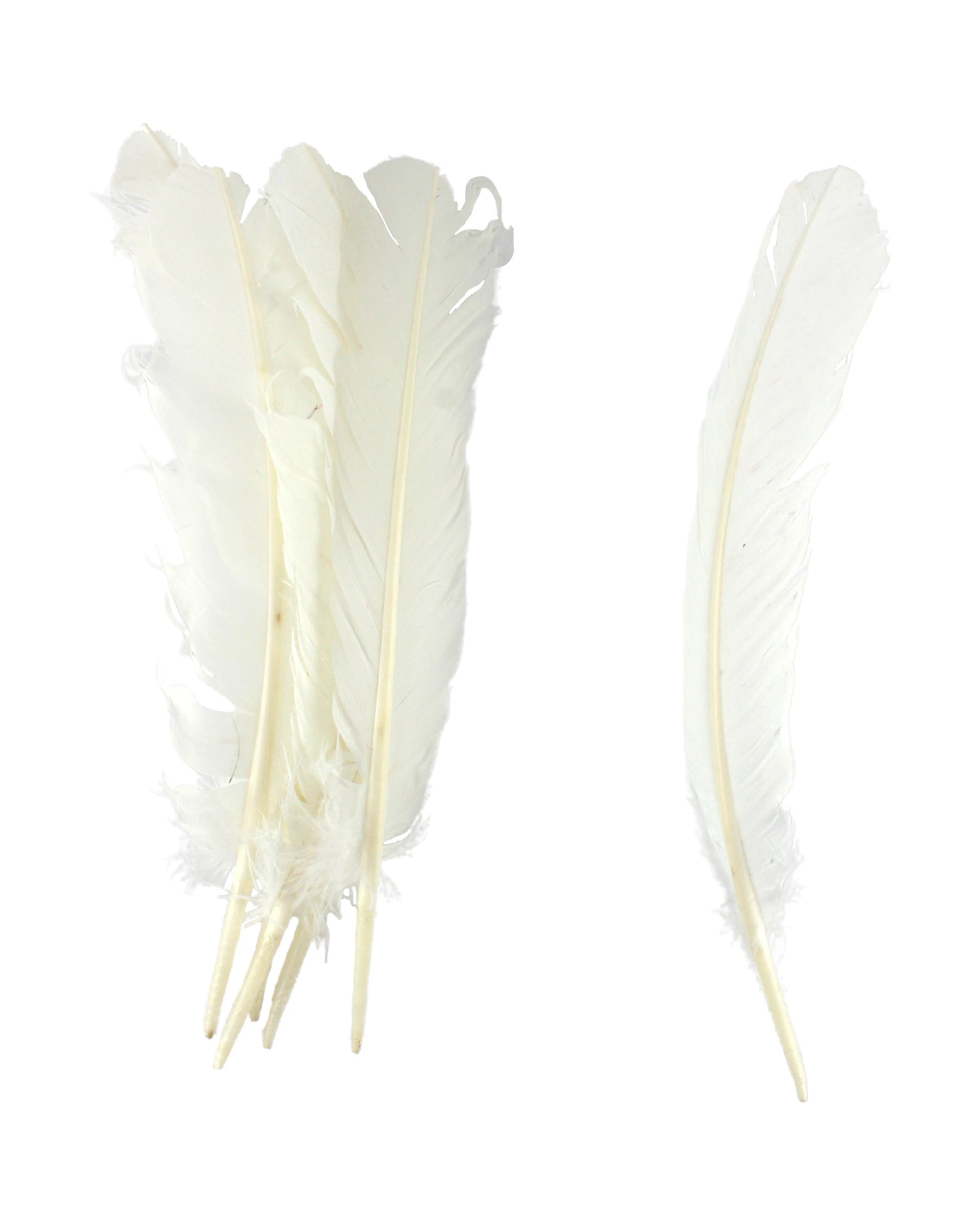 1 JD Party Feathers 28cm Pack of 6 - White, 1 of 1