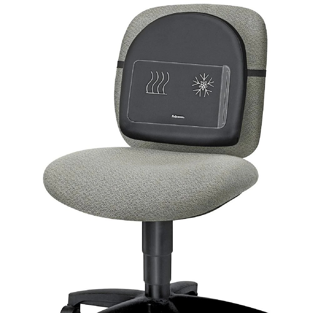 1 Fellowes Heat and Soothe Back Support, 1 of 5