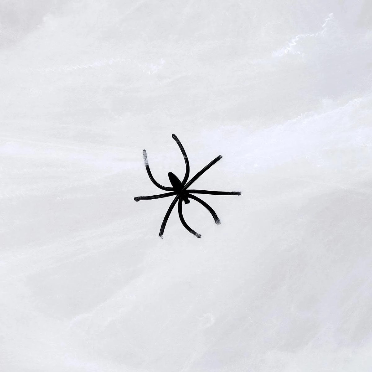 4 White Spider Web, 4 of 6