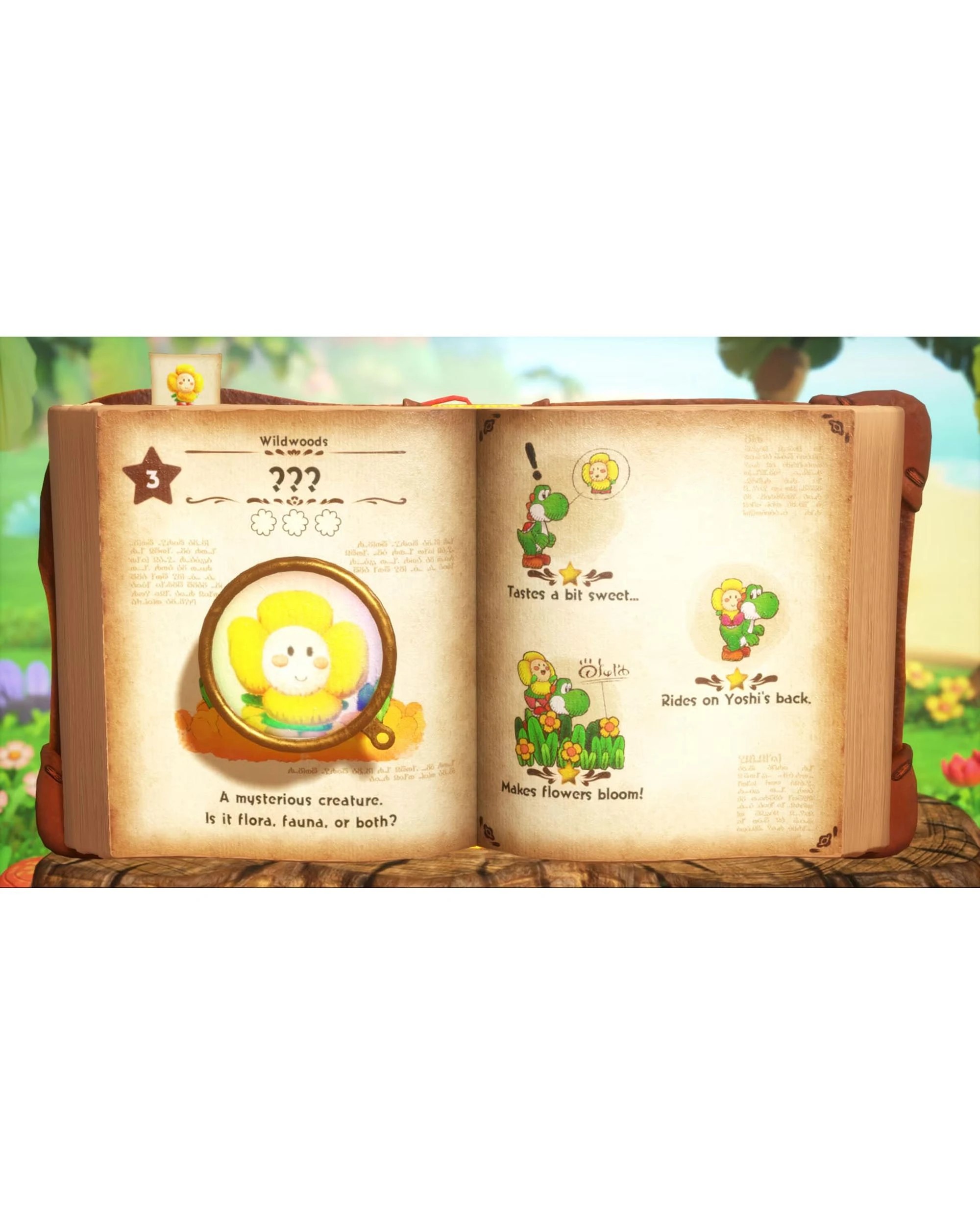 2 Yoshi and the Mysterious Book - Switch 2, 2 of 7