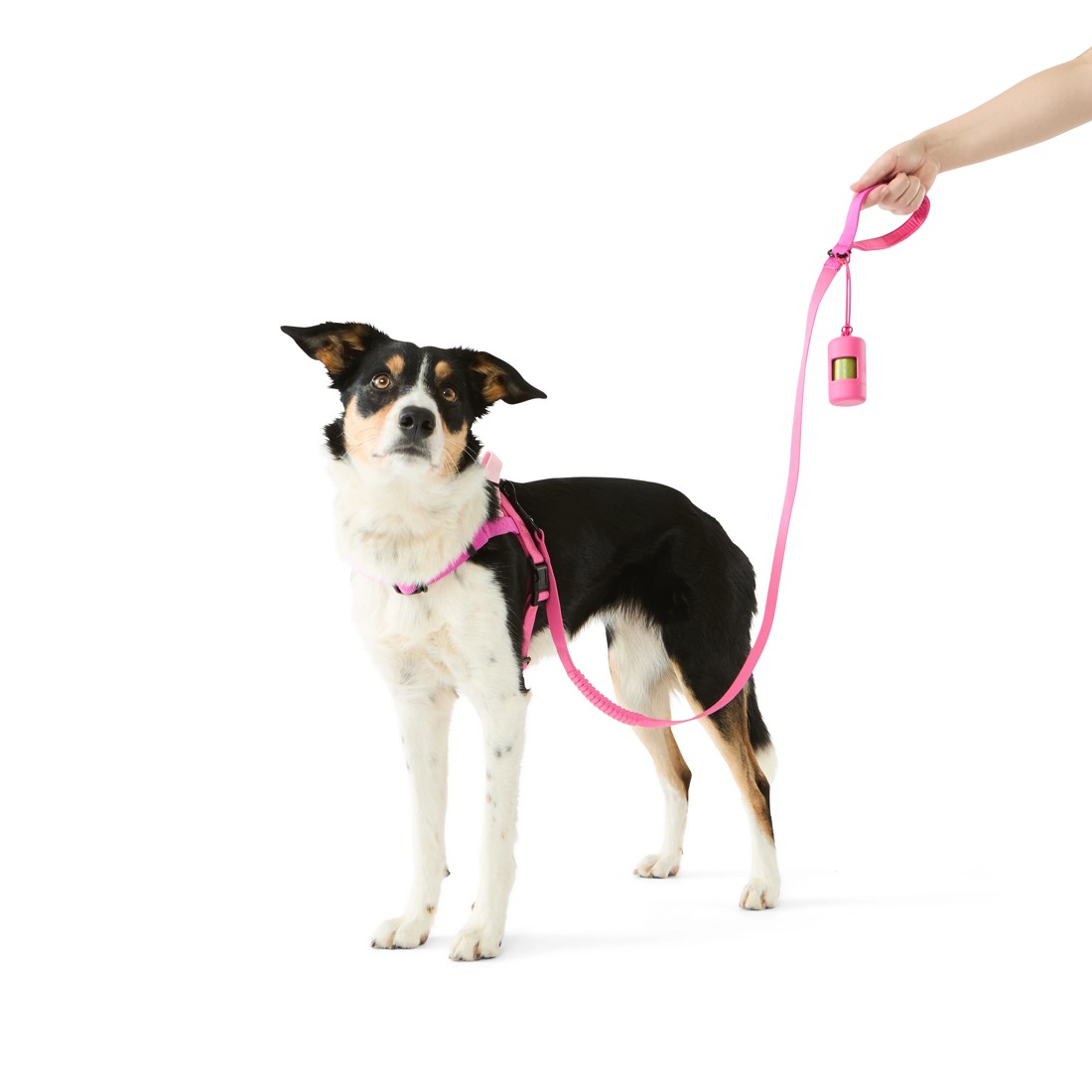 1 Pet Walking Set - Medium, Pink, 1 of 5
