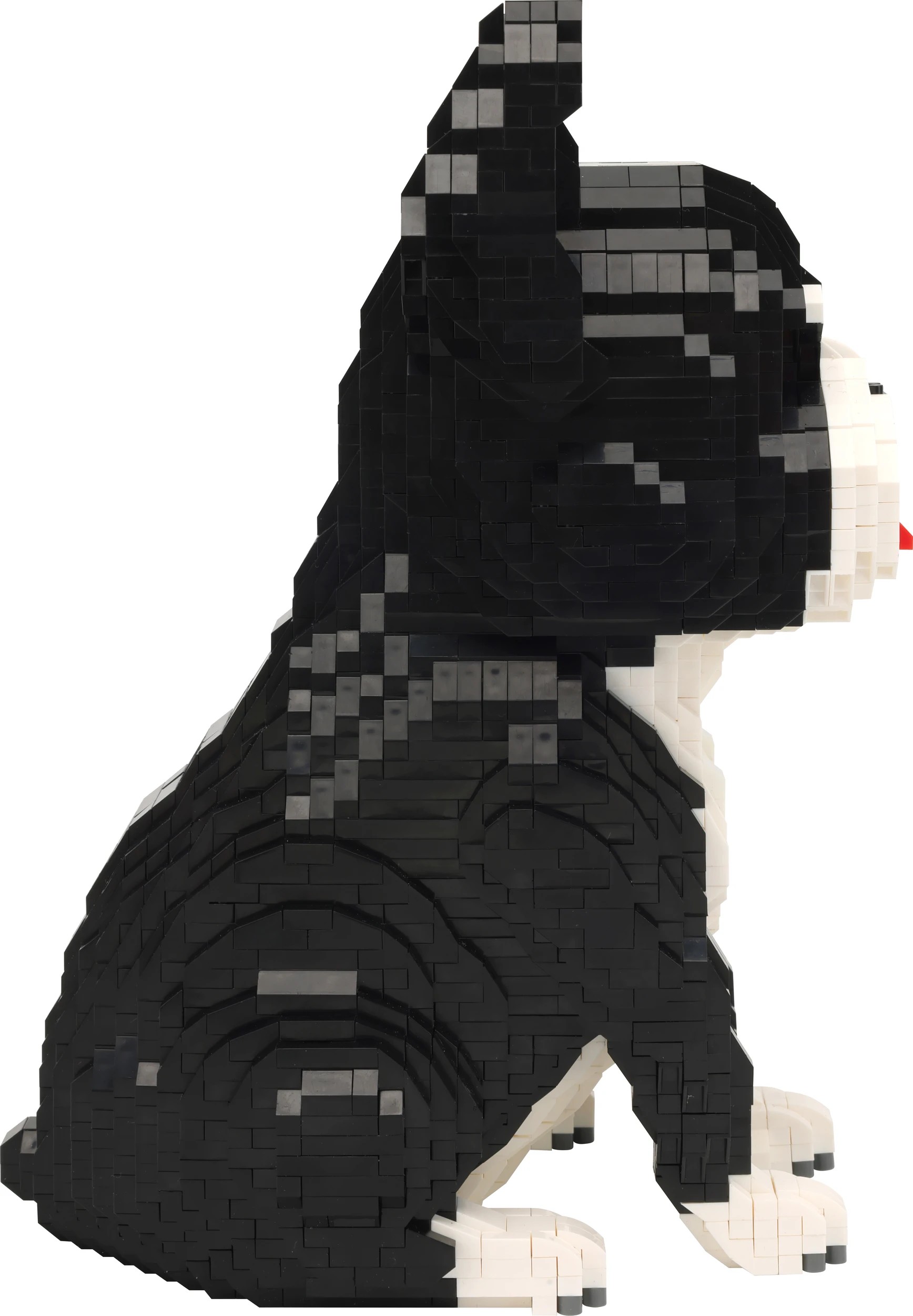 5 2686 Piece Mini Blocks Animal Series: French Bulldog, 5 of 7