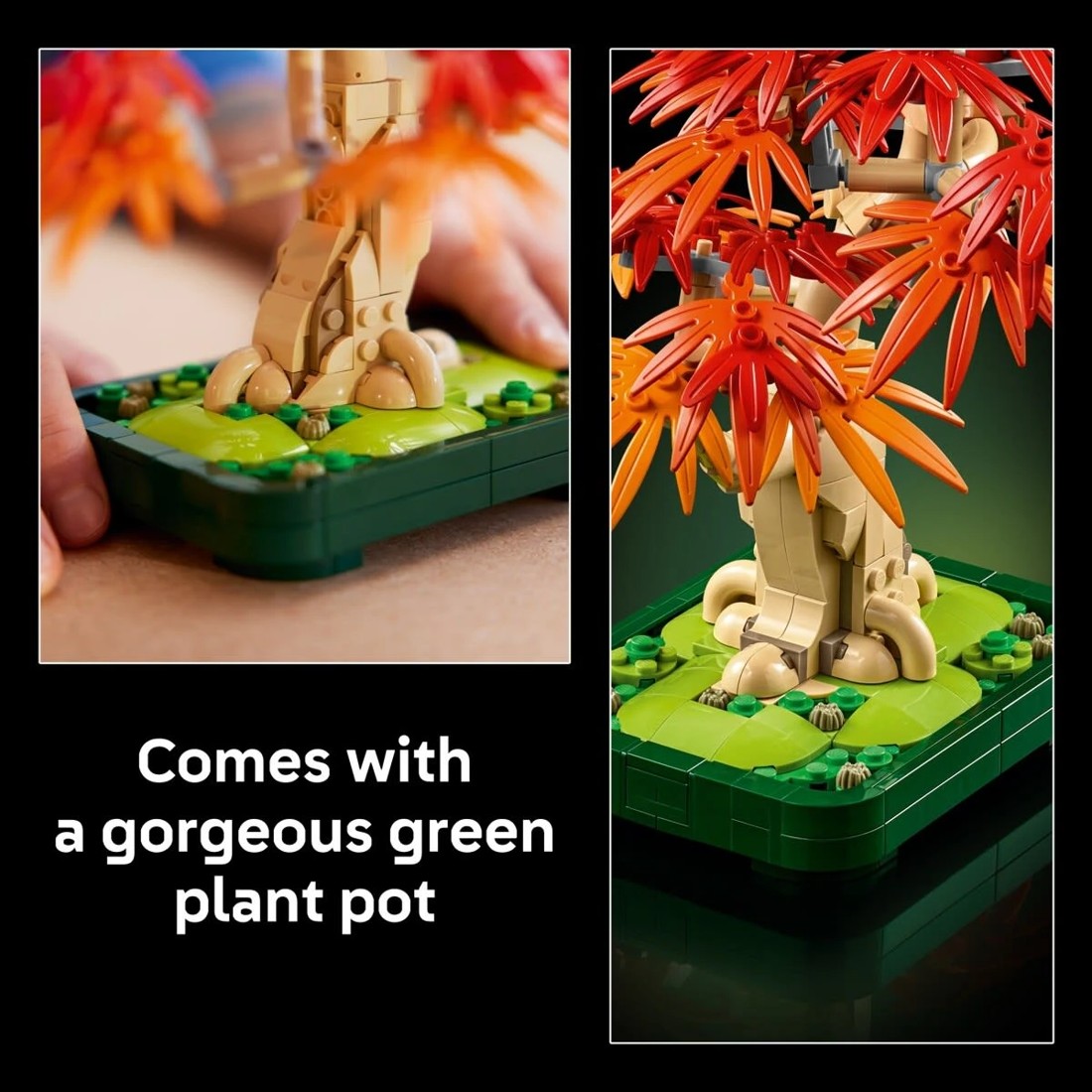7 LEGO Botanicals Japanese Red Maple Bonsai Tree 10348, 7 of 10