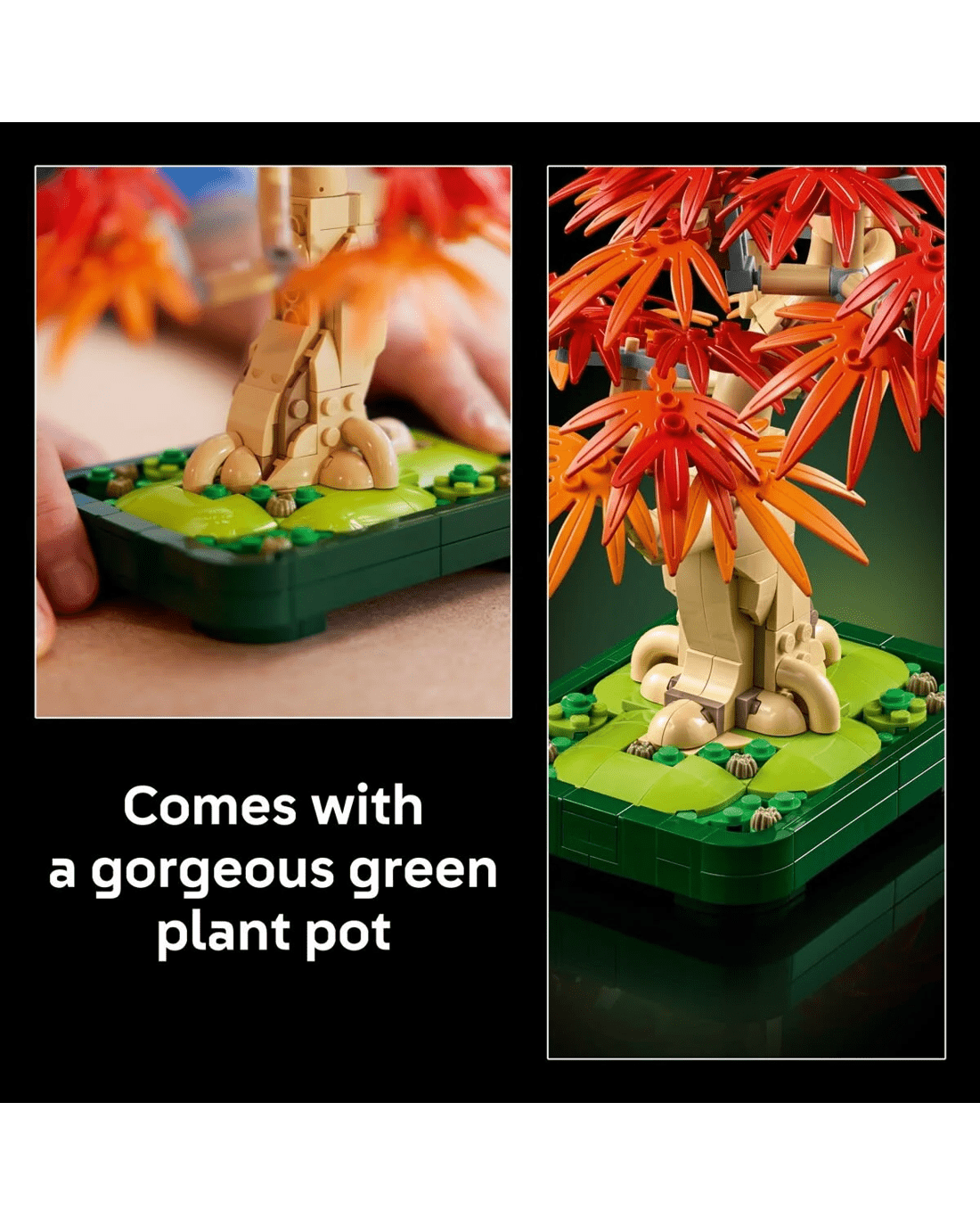 7 LEGO Botanicals Japanese Red Maple Bonsai Tree 10348, 7 of 10