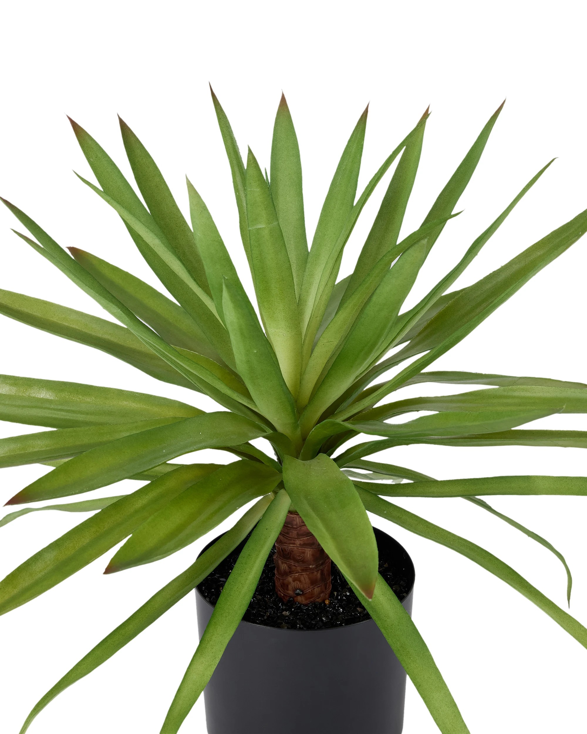 2 Artificial Dracaena Plant in Pot, 2 of 3
