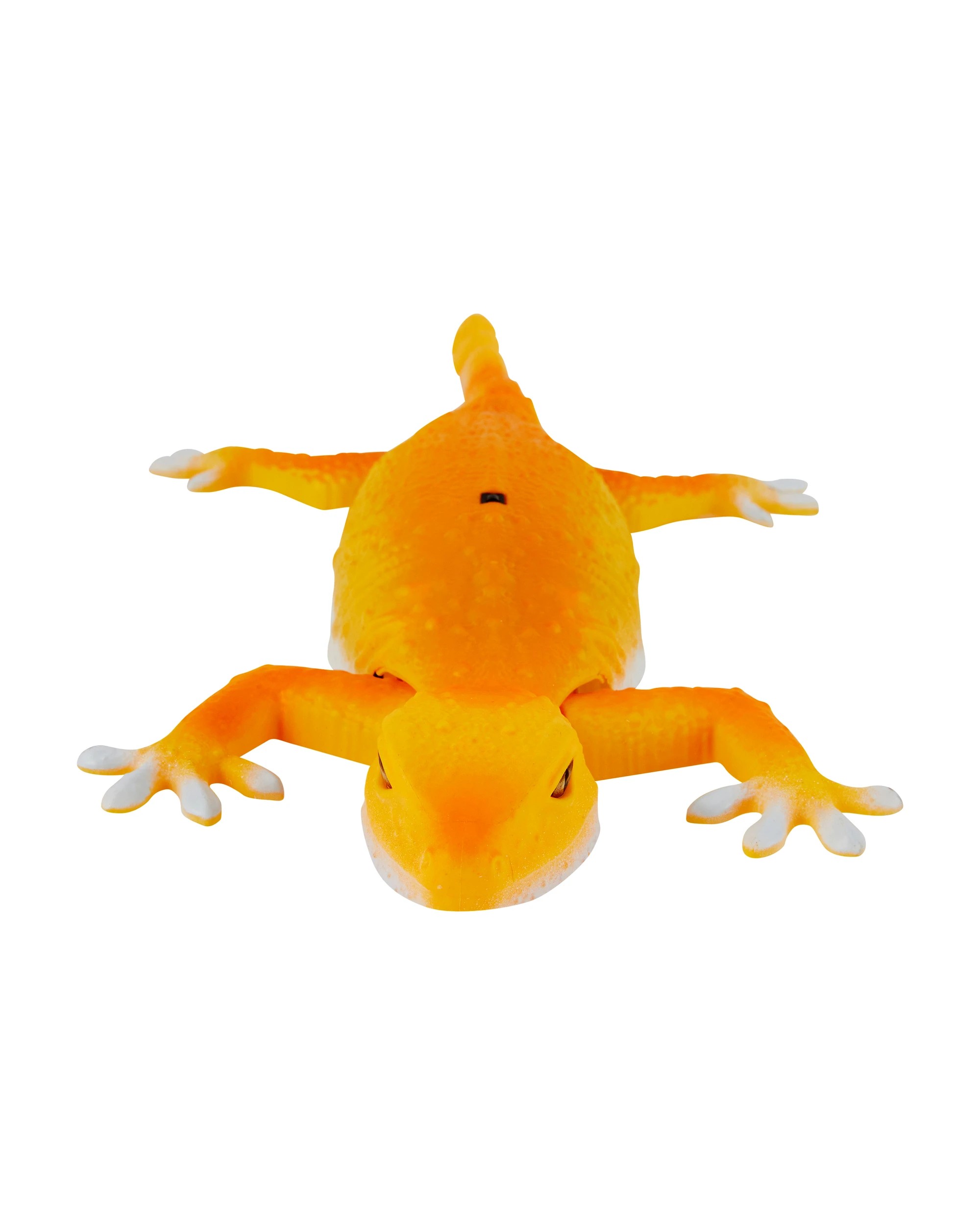 3 Remote Control Gecko, 3 of 8