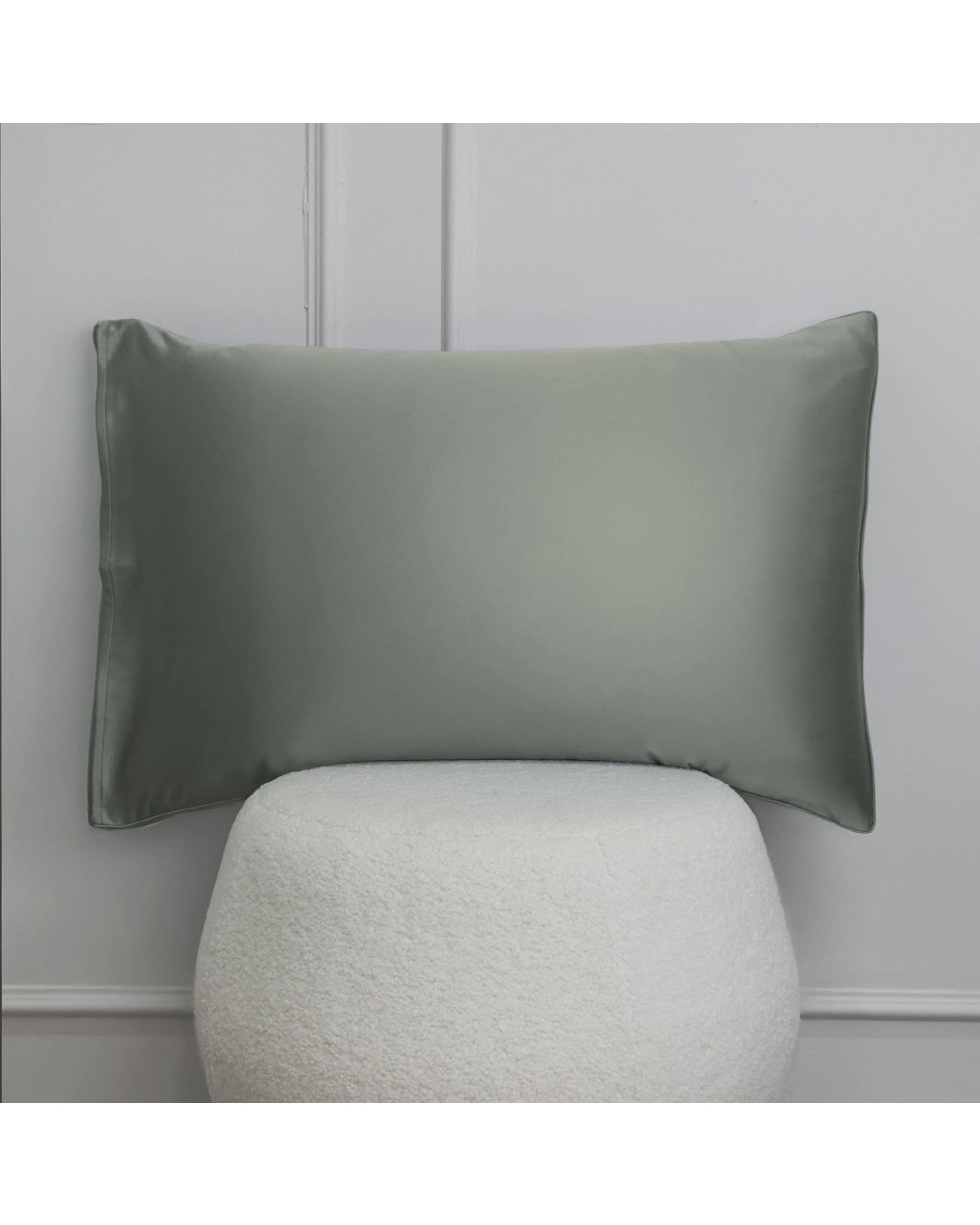 5 Bedding co Pillow Case 100% Mulberry Silk 22 Momme European - One Size - Green, 5 of 6