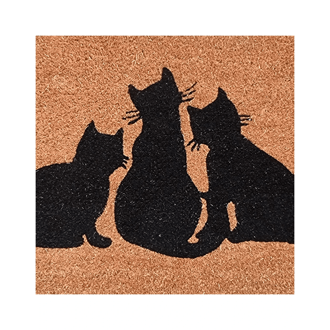 4 Solemate Latex Backed Coir Cats Design 45x75cm Slim Outdoor Stylish Doormat
 - Multi, 4 of 4
