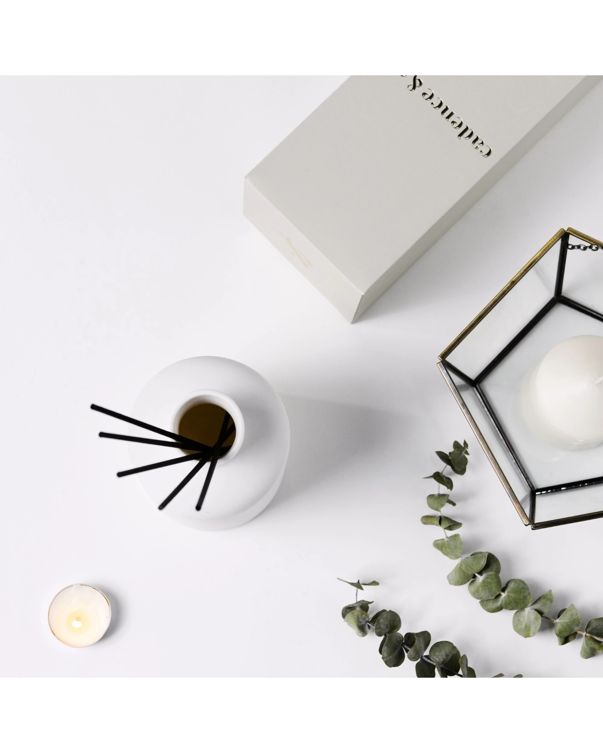 Cadence & Co. Overture Essential Oils Reed Diffuser Evoke: Lavender ...