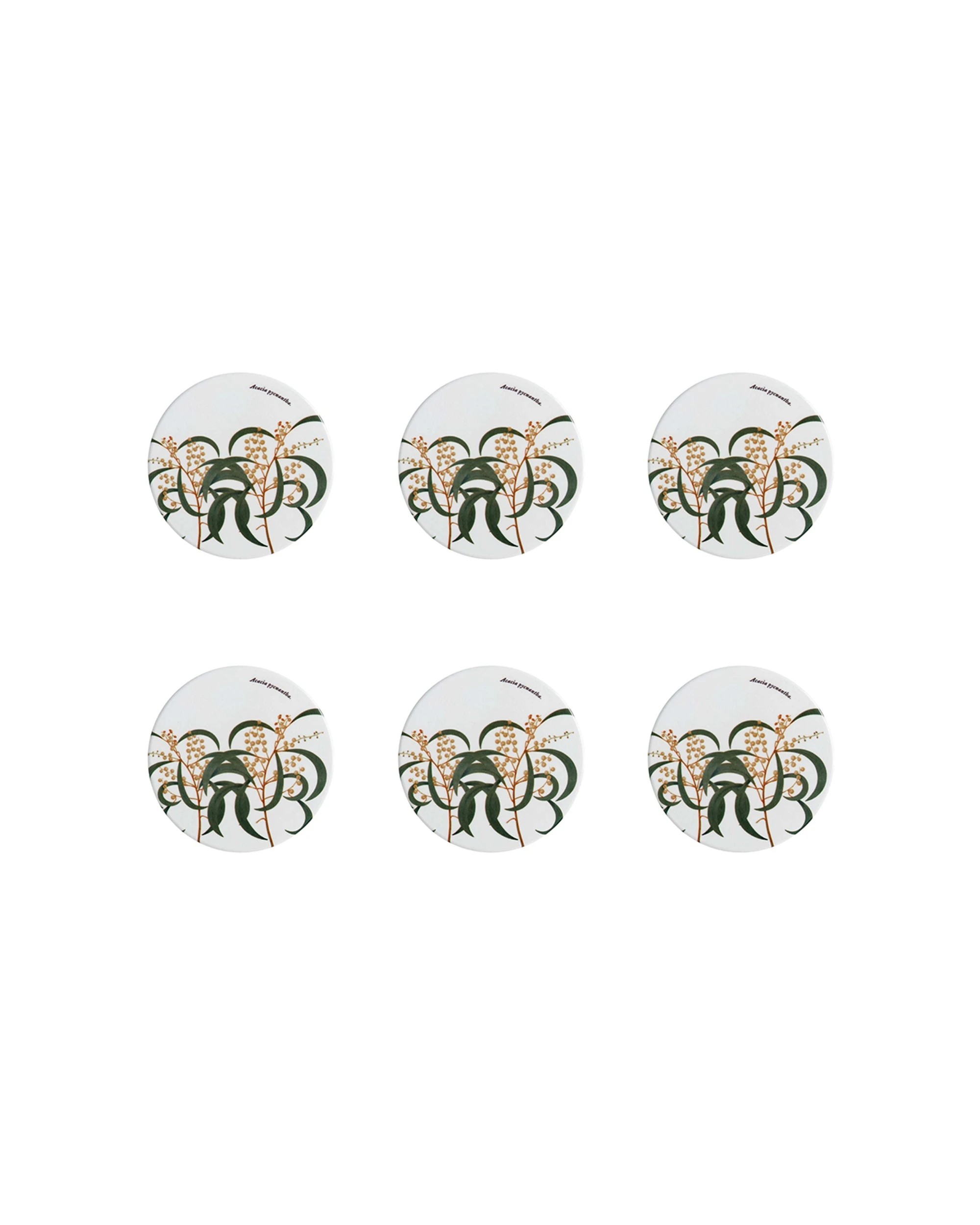 1 Maxwell & Williams 6PK Royal Botanic Gardens Victoria Coaster Ceramic Set 9.5cm Ceramic Cork Backing - Multi, 1 of 1