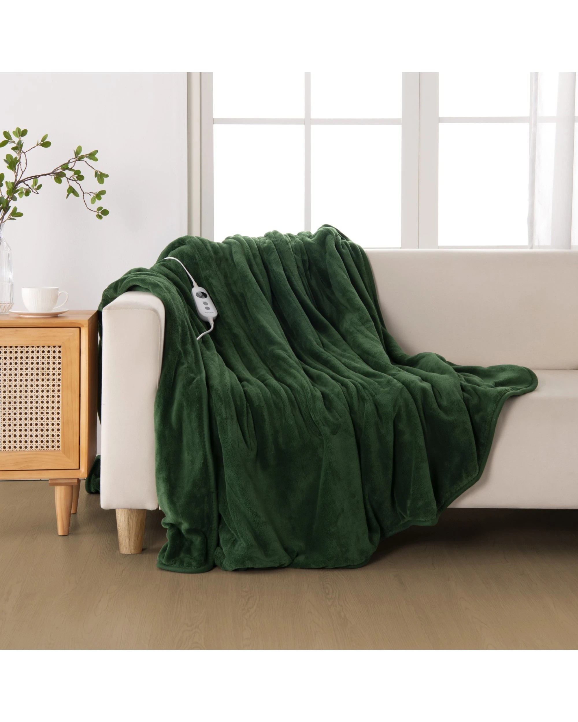 1 Dreamaker Kingston Coral Fleece Electric Heated Throw Blanket 180x200cm - Eden Green, 1 of 7