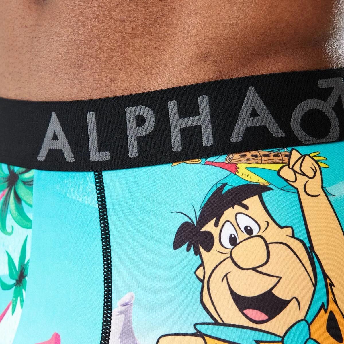 4 License Print Trunks Flntstones, 4 of 6