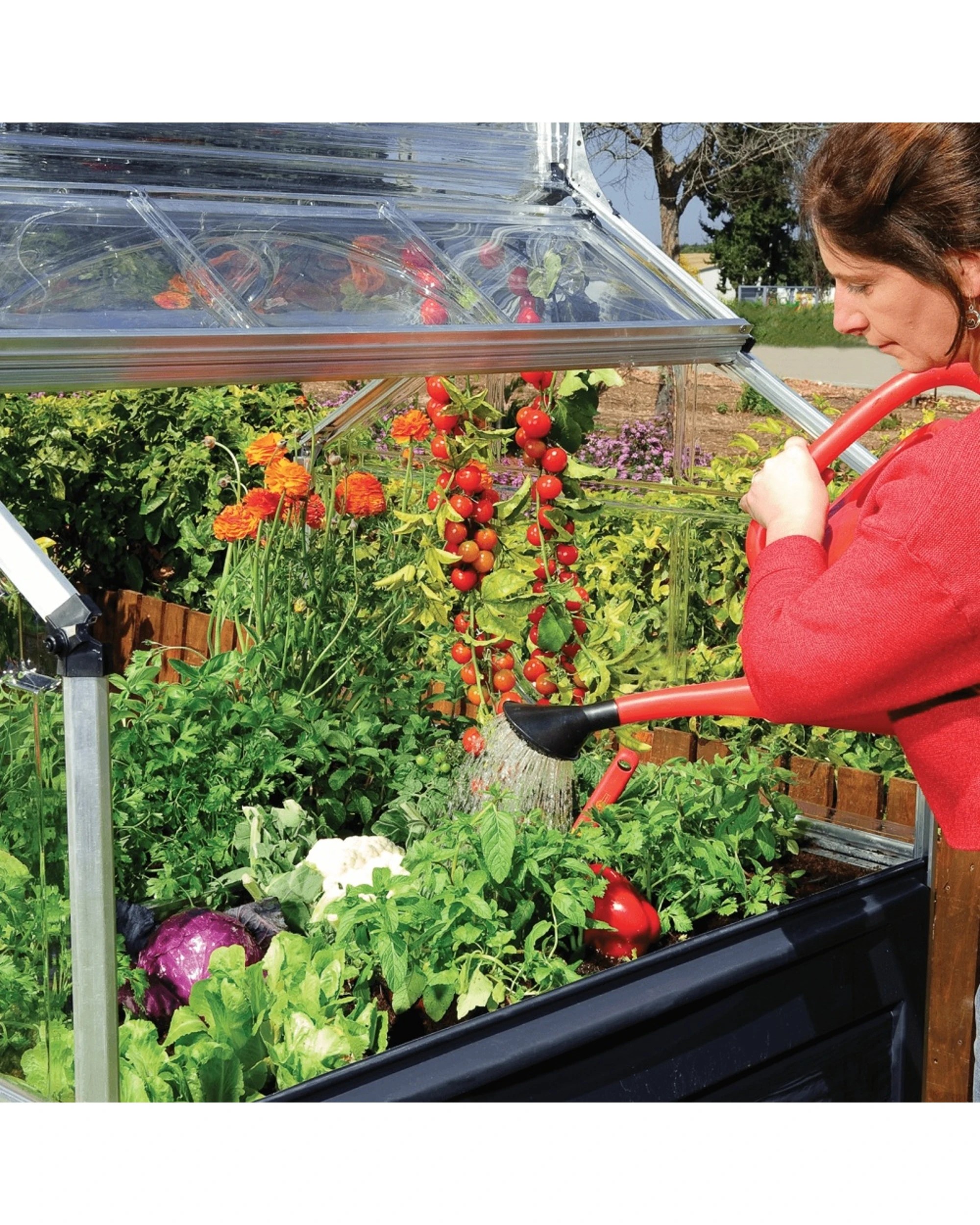 Maze Plant Inn Mini Greenhouse Raised Bed Polycarbonate Frame 118x148cm ...