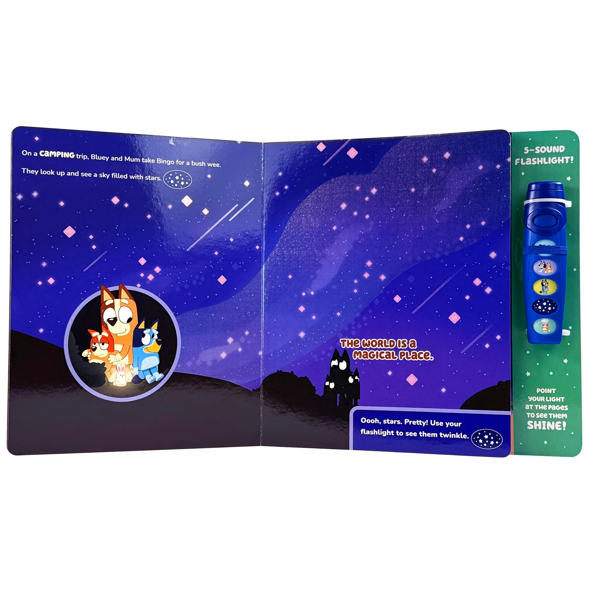 5 Bluey: Oooh, Shiny! A Bluey Flashlight Sound Book, 5 of 5