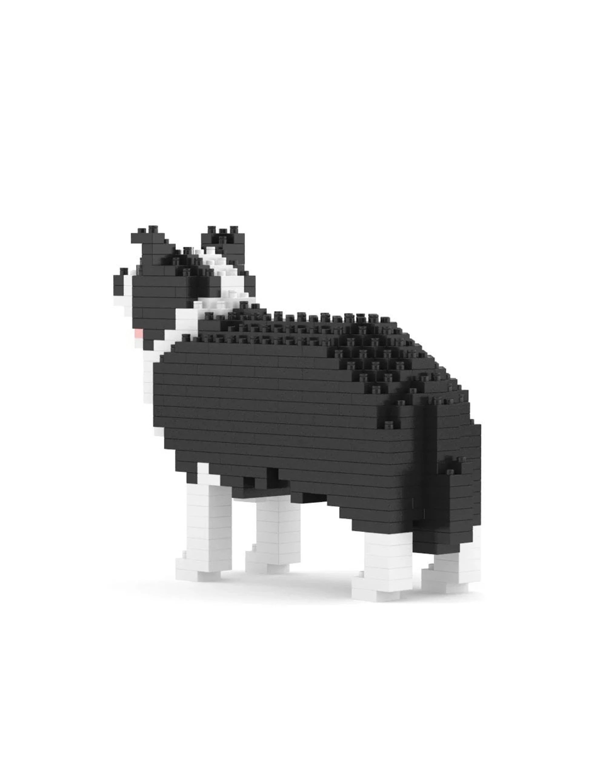 3 JEKCA Border Collie Mini 01S, 3 of 3