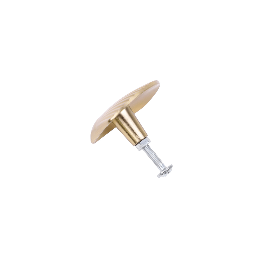 3 2 Pack Shell Handles - Gold Look, 3 of 8