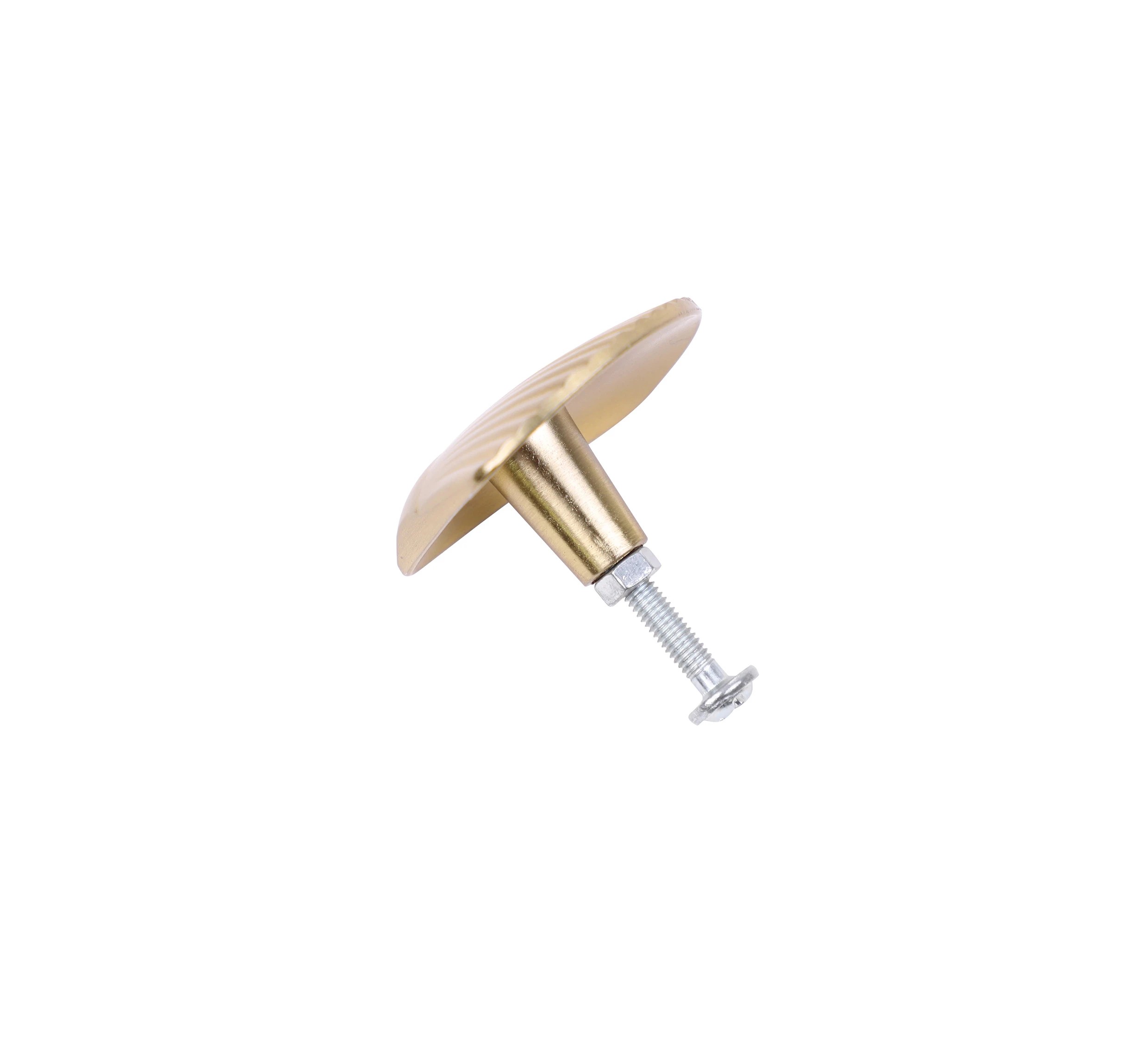 3 2 Pack Shell Handles - Gold Look, 3 of 8