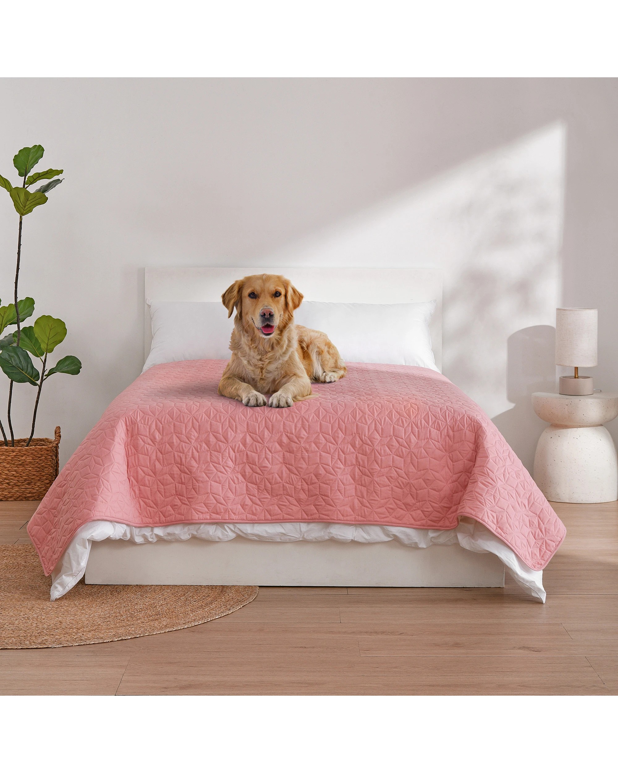 1 Charlie's Sofur Waterproof Dog Bed Cover Protector Double/Queen 208x208cm - Double/Queen - Pink, 1 of 10