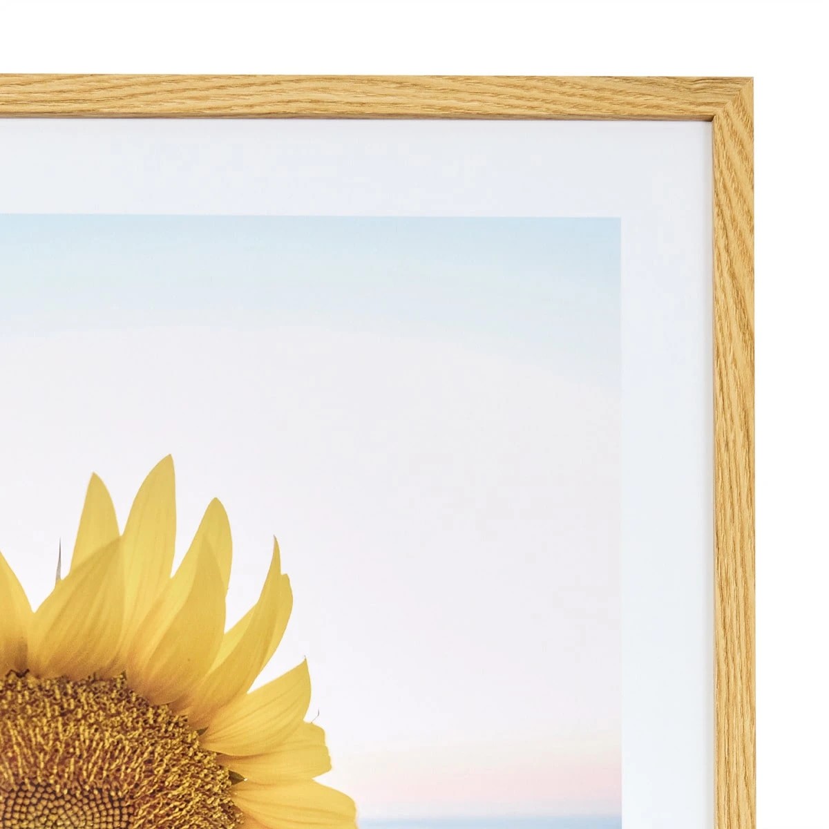 2 Sunflower Framed Print, 2 of 4