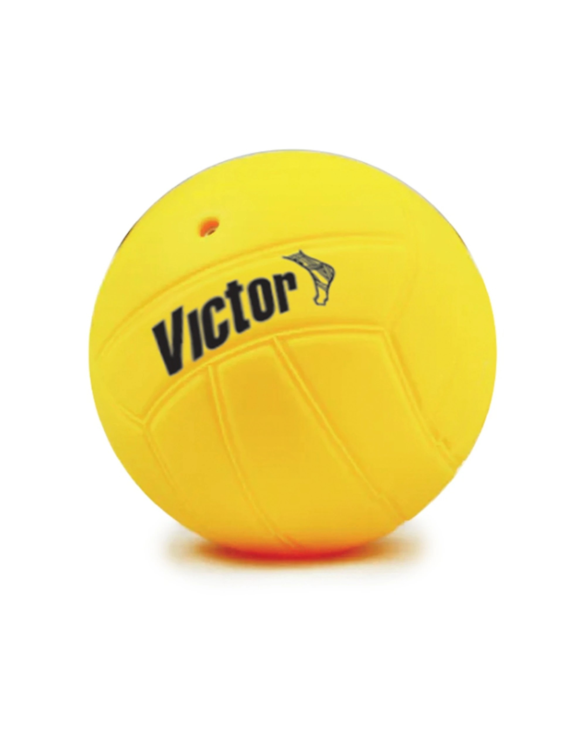 3 Victor Sports 5pc Power Shot Volleyball Training Set With Balls And Net - Multi, 3 of 3
