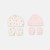 Banksia A