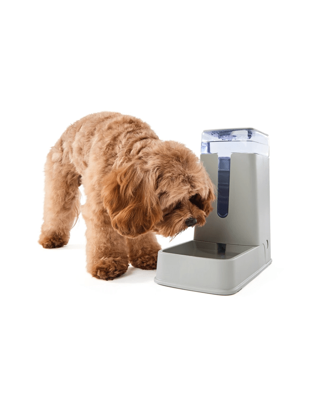 Pet Gravity Water Mo