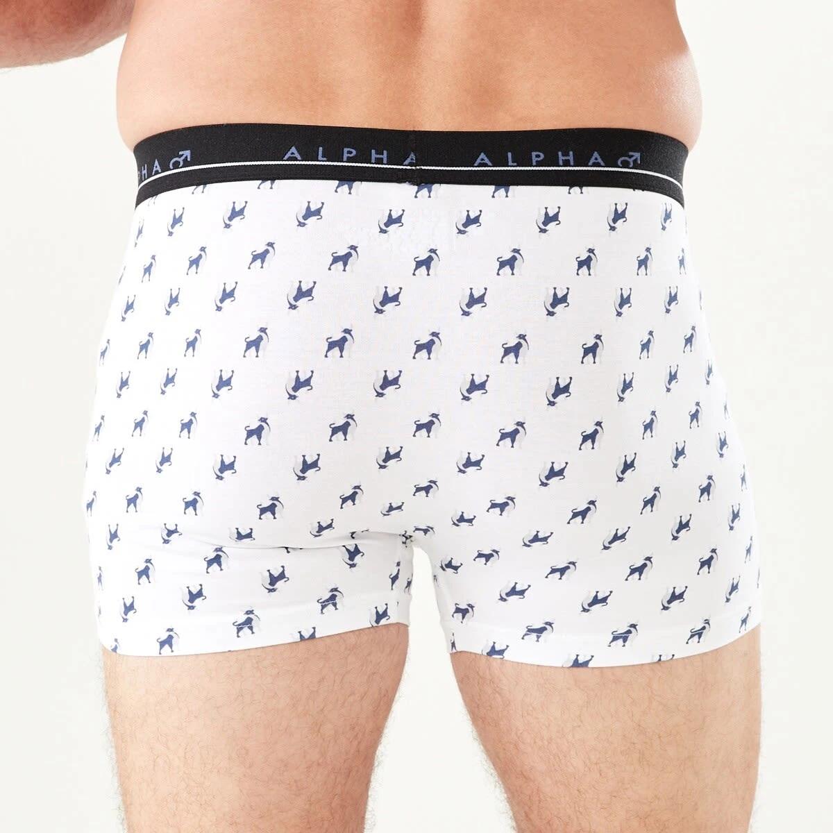 8 5 Pack Trunks BULL ICONS, 8 of 10