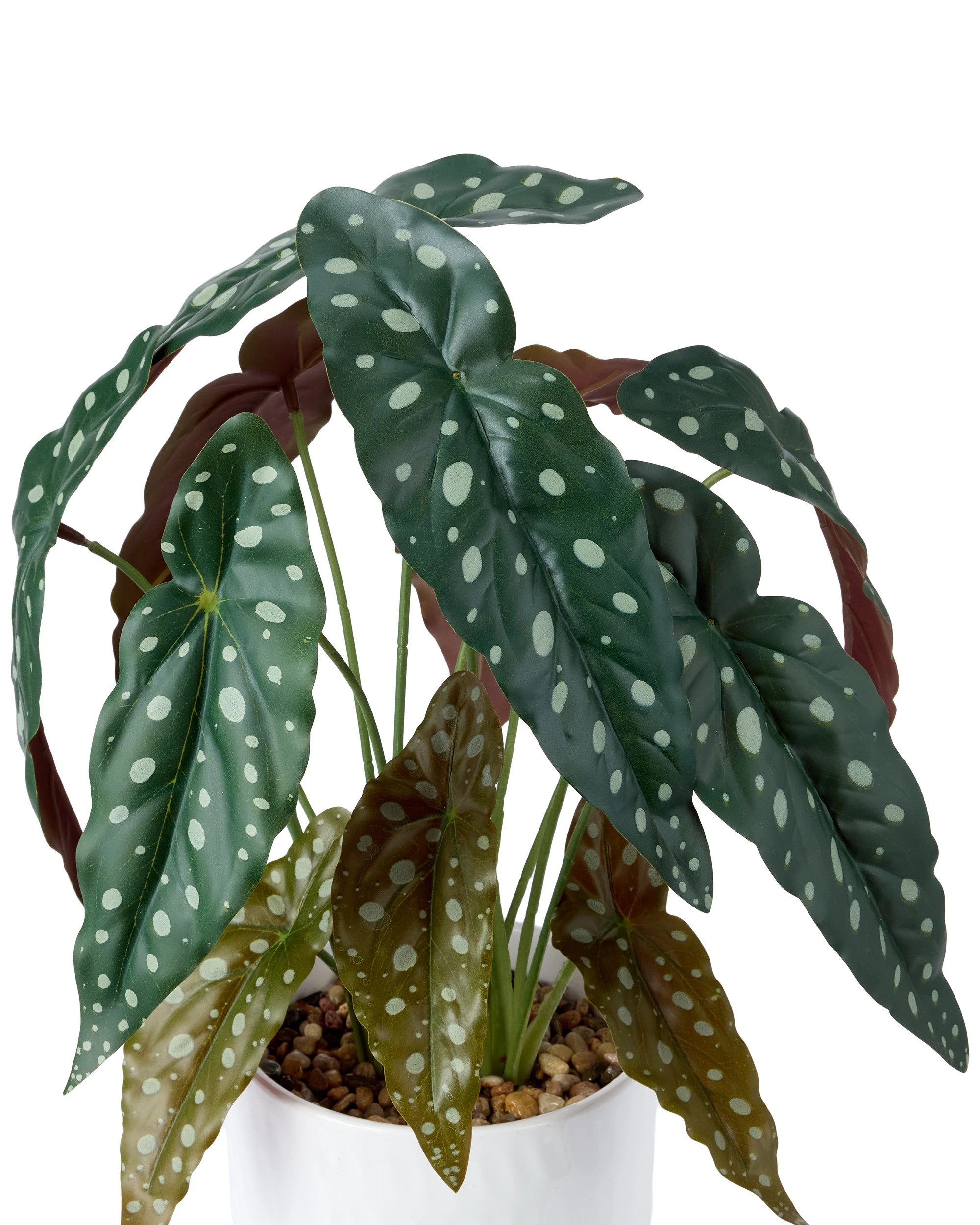 2 Artificial Spotted Plant in Pot, 2 of 3