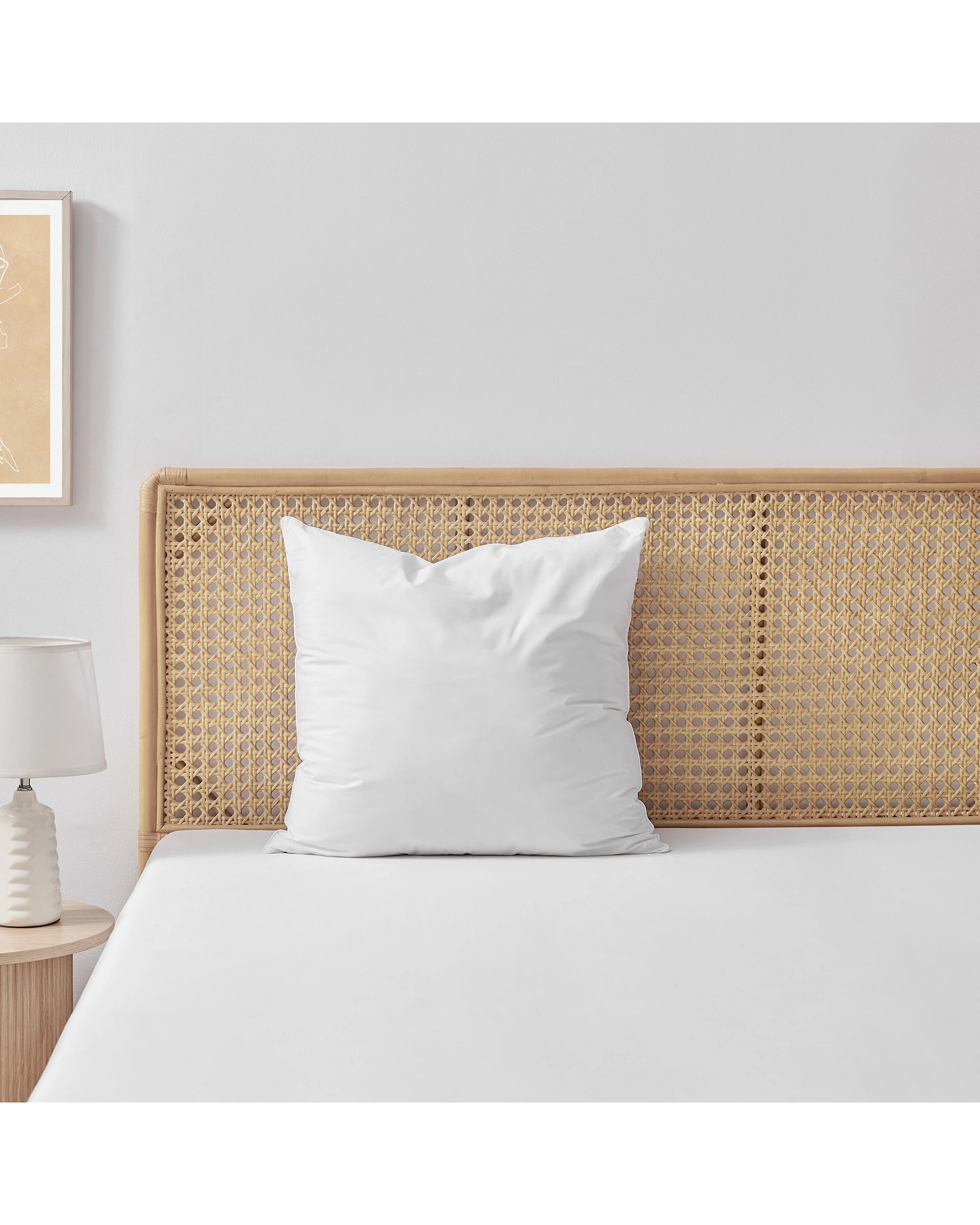 1 ESSN Healthguard Allergy Sensitive Euro Pillow - White, 1 of 7
