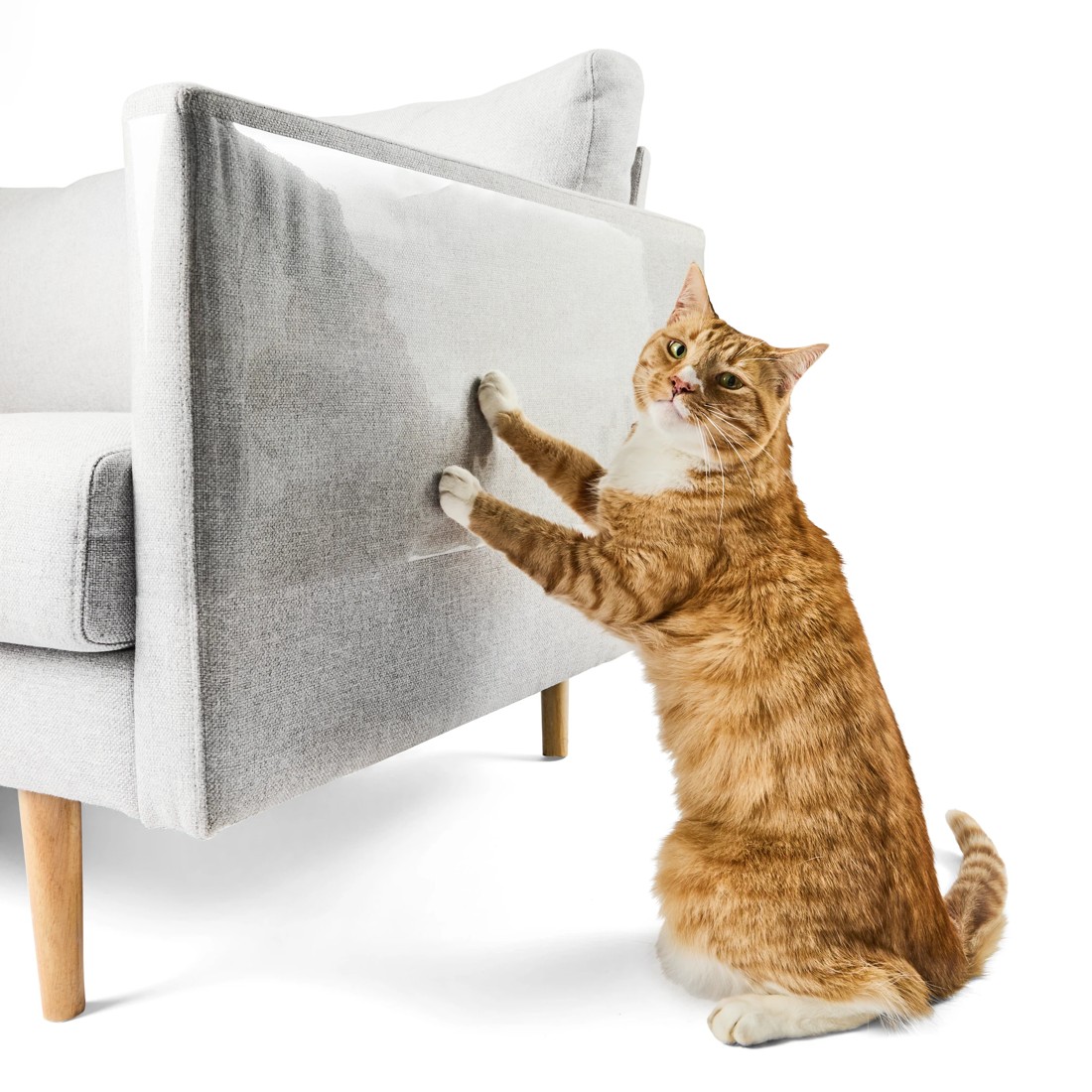 1 Pet Furniture Protector, 1 of 6