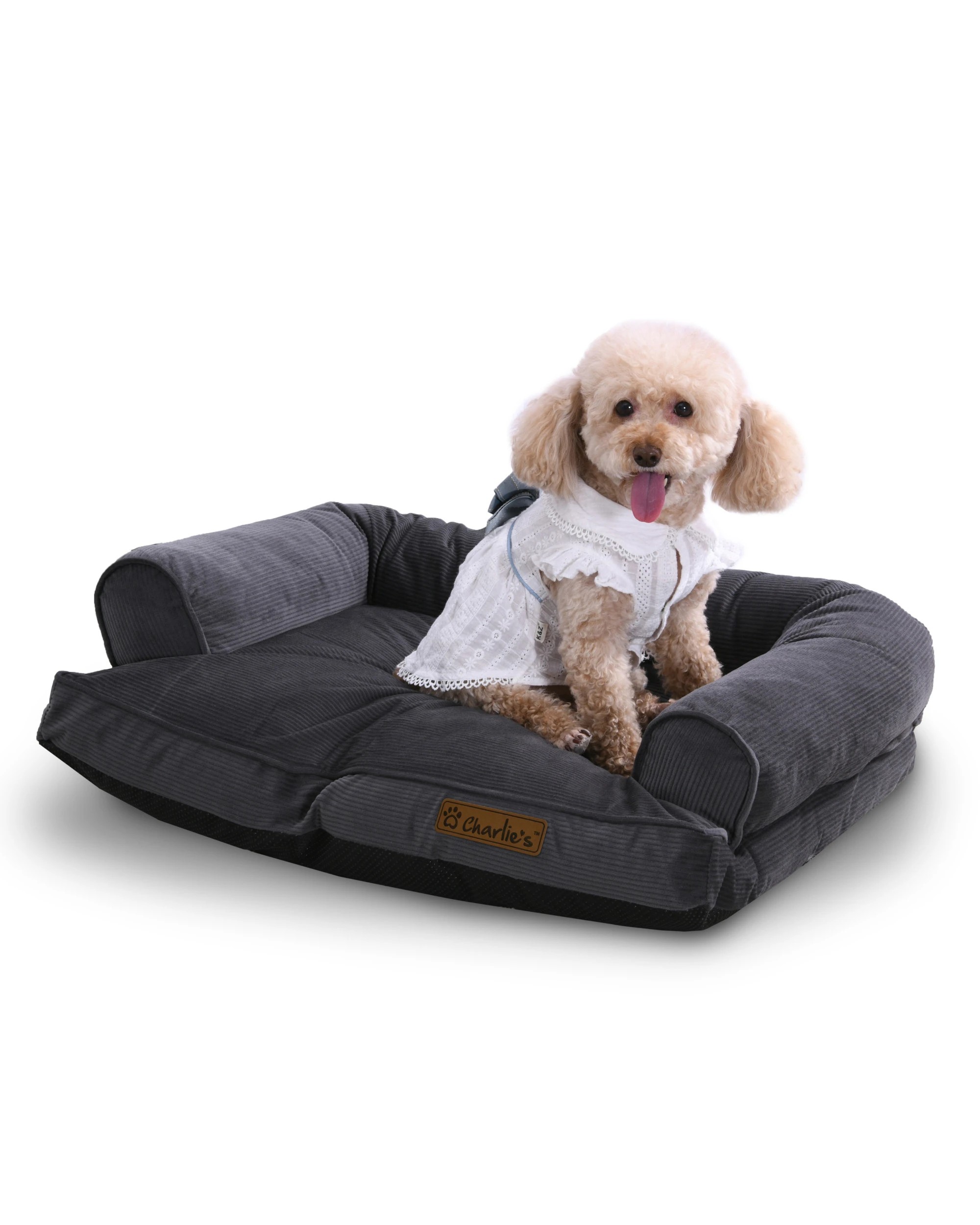 1 Charlie's Corduroy Dog Sofa Bed Small - Charcoal, 1 of 9