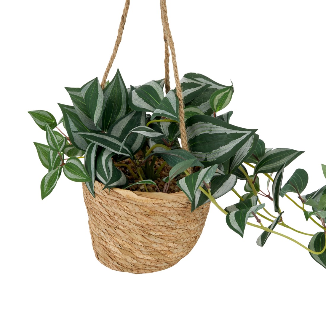 3 Artificial Zebrina in Hanging Pot, 3 of 5