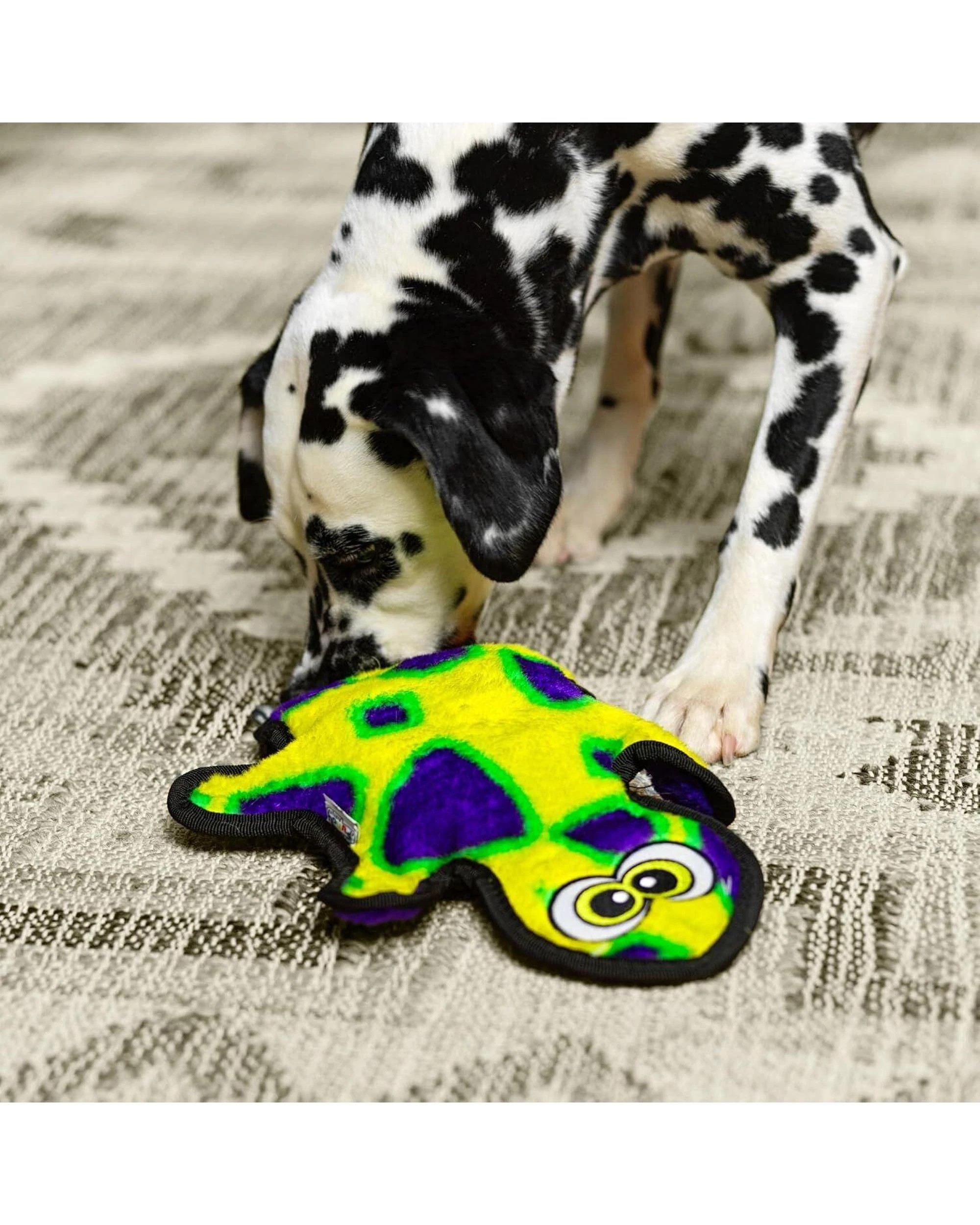 4 Outward Hound Invincible Gecko Interactive Dog Toy with 2 Squeakers Yellow/Green, 4 of 4