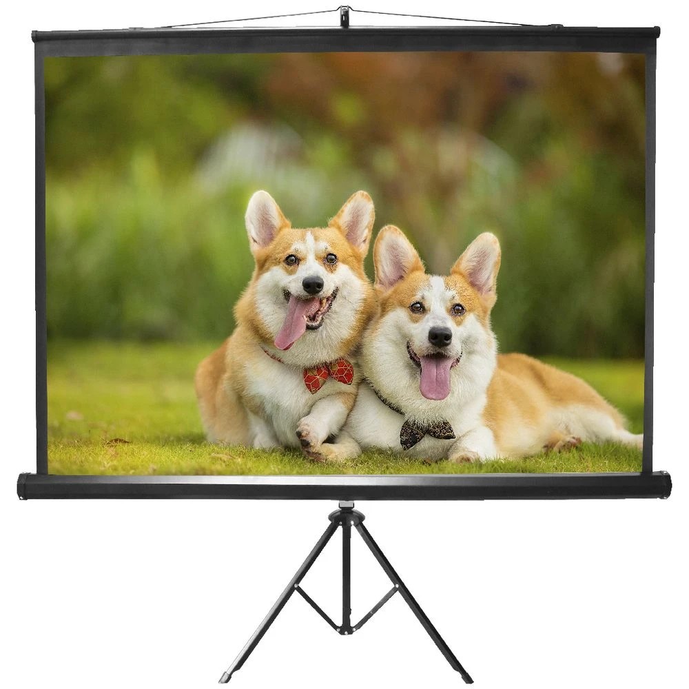2 Brateck 100" 4:3 Portable Tripod Projection Screen, 2 of 2