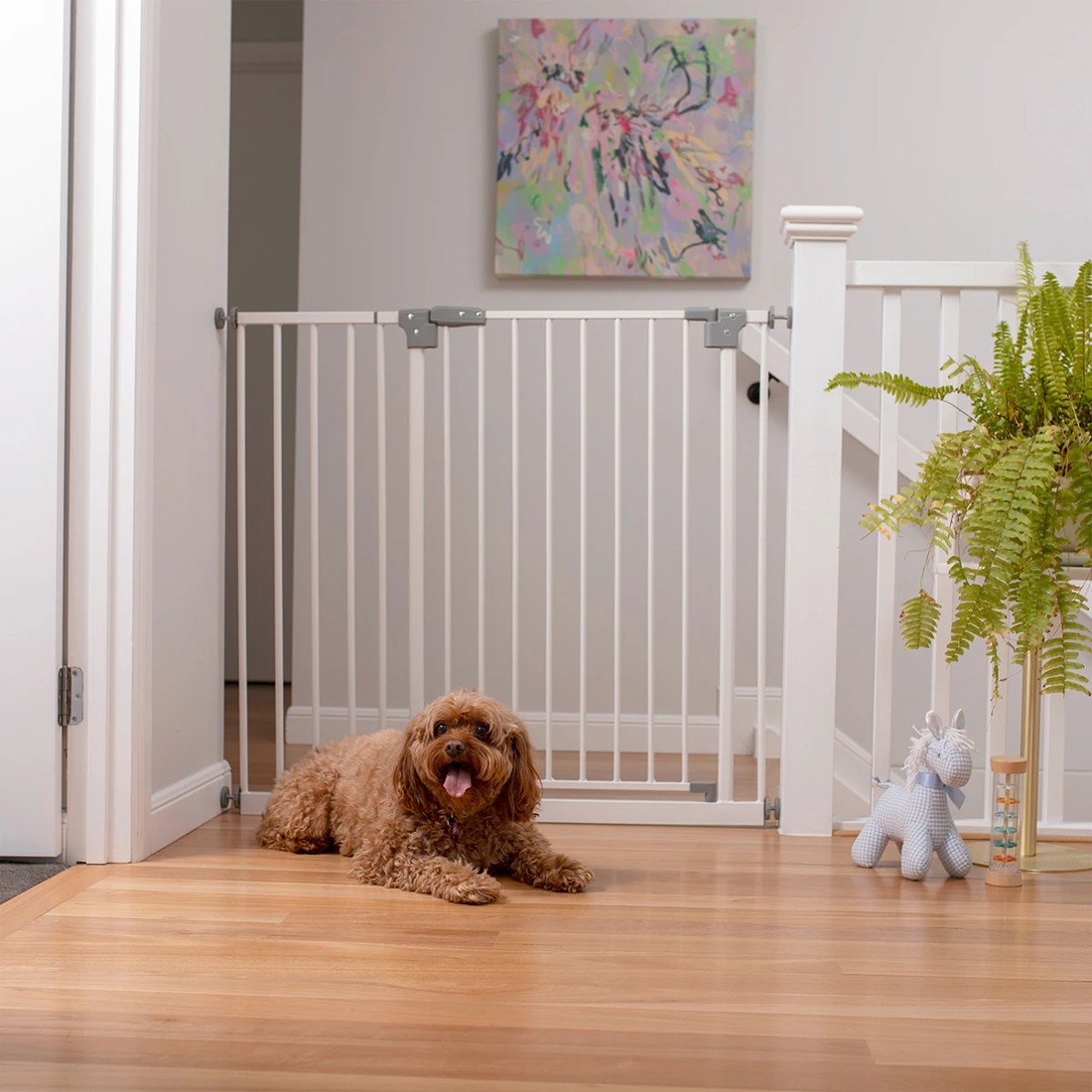 3 Tall and Wide Metal Gate with Extensions, 3 of 5