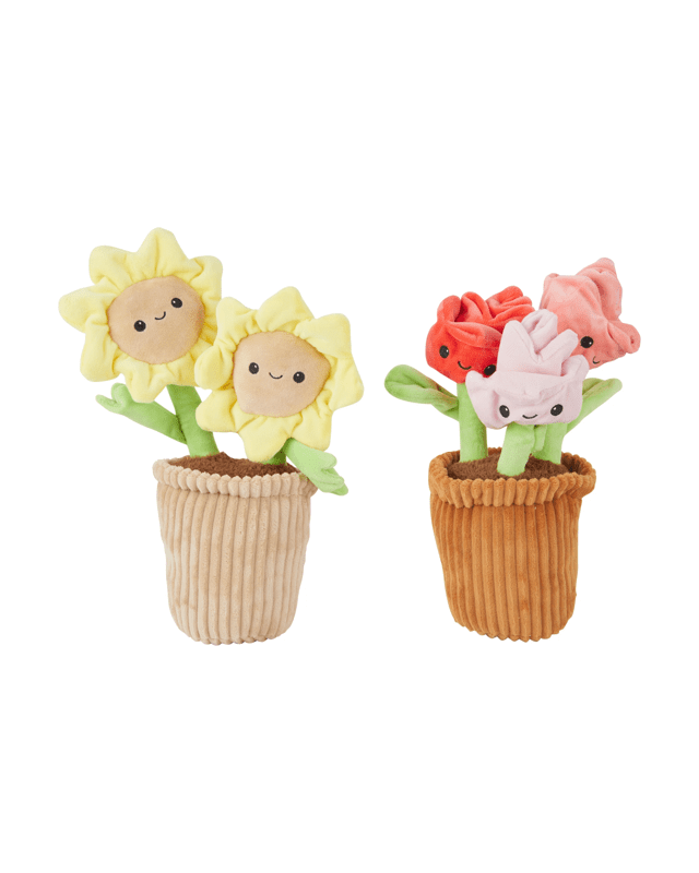 Scented Flower Plush - Asso