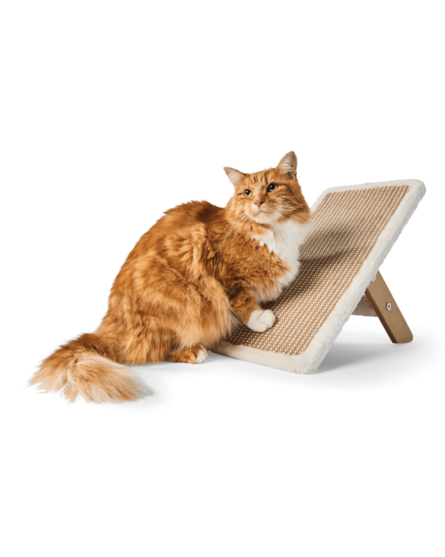 Vertical Cat Scratching S