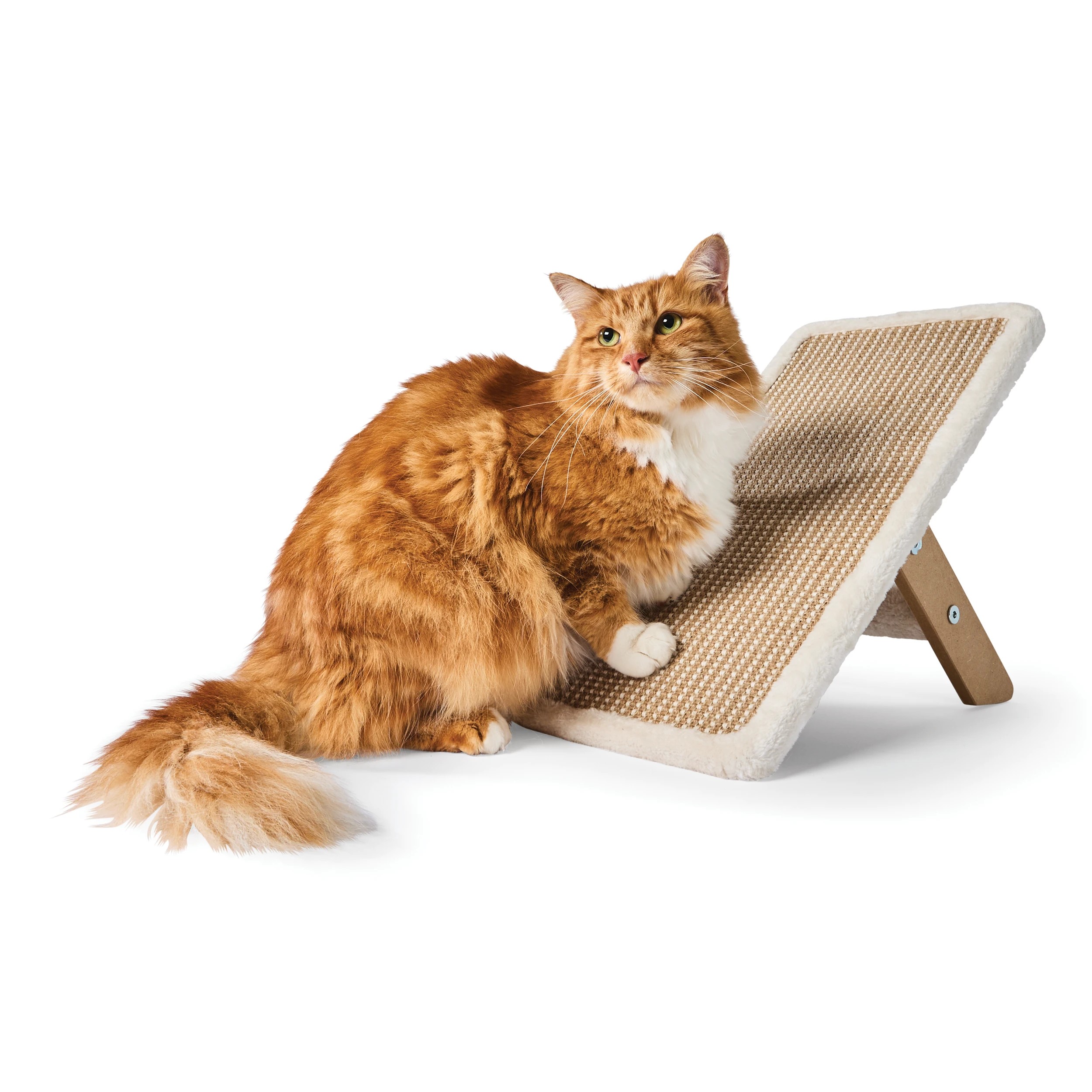 1 Vertical Cat Scratching Stand, 1 of 10
