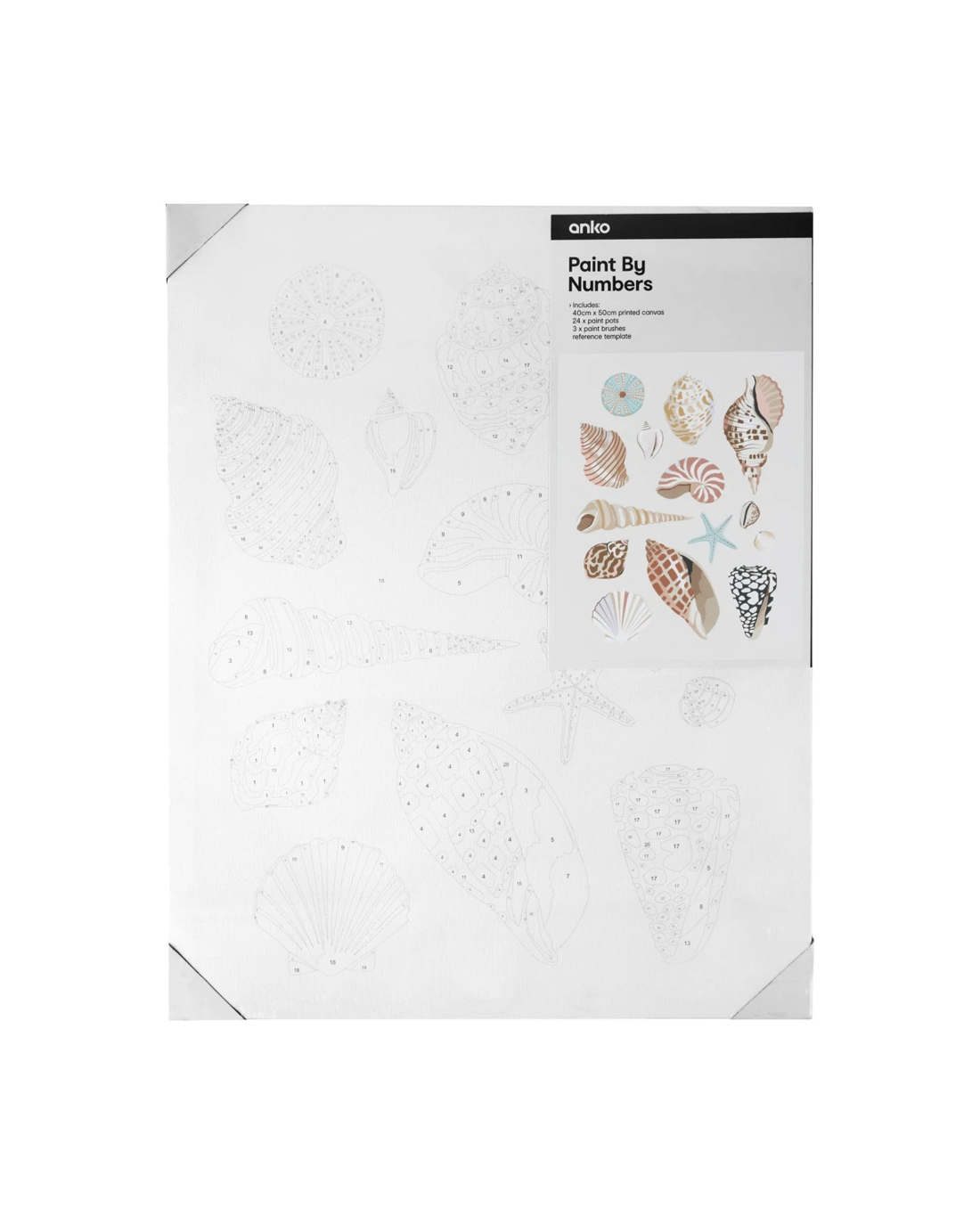 1 Paint By Numbers - Shell, 1 of 4