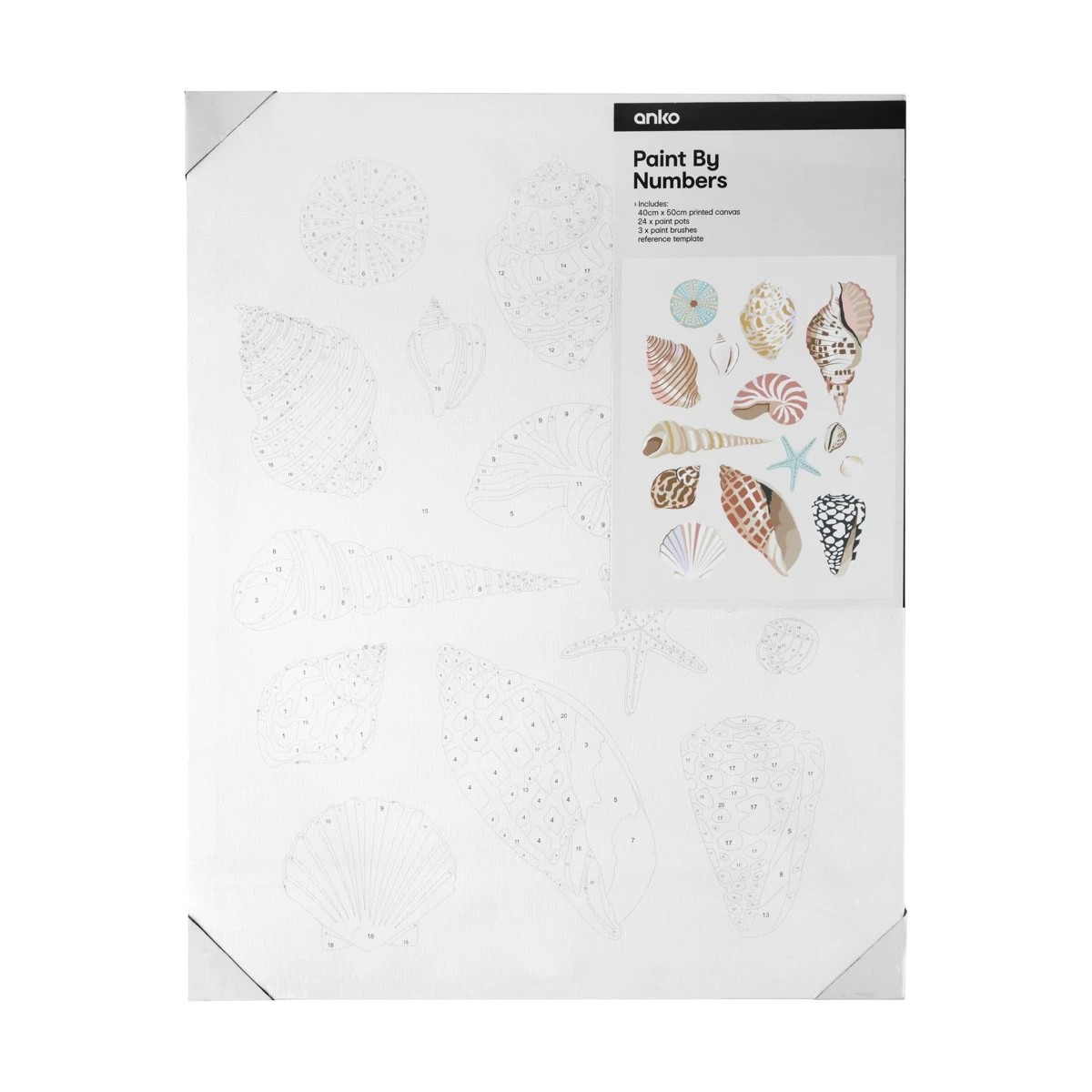 1 Paint By Numbers - Shell, 1 of 4