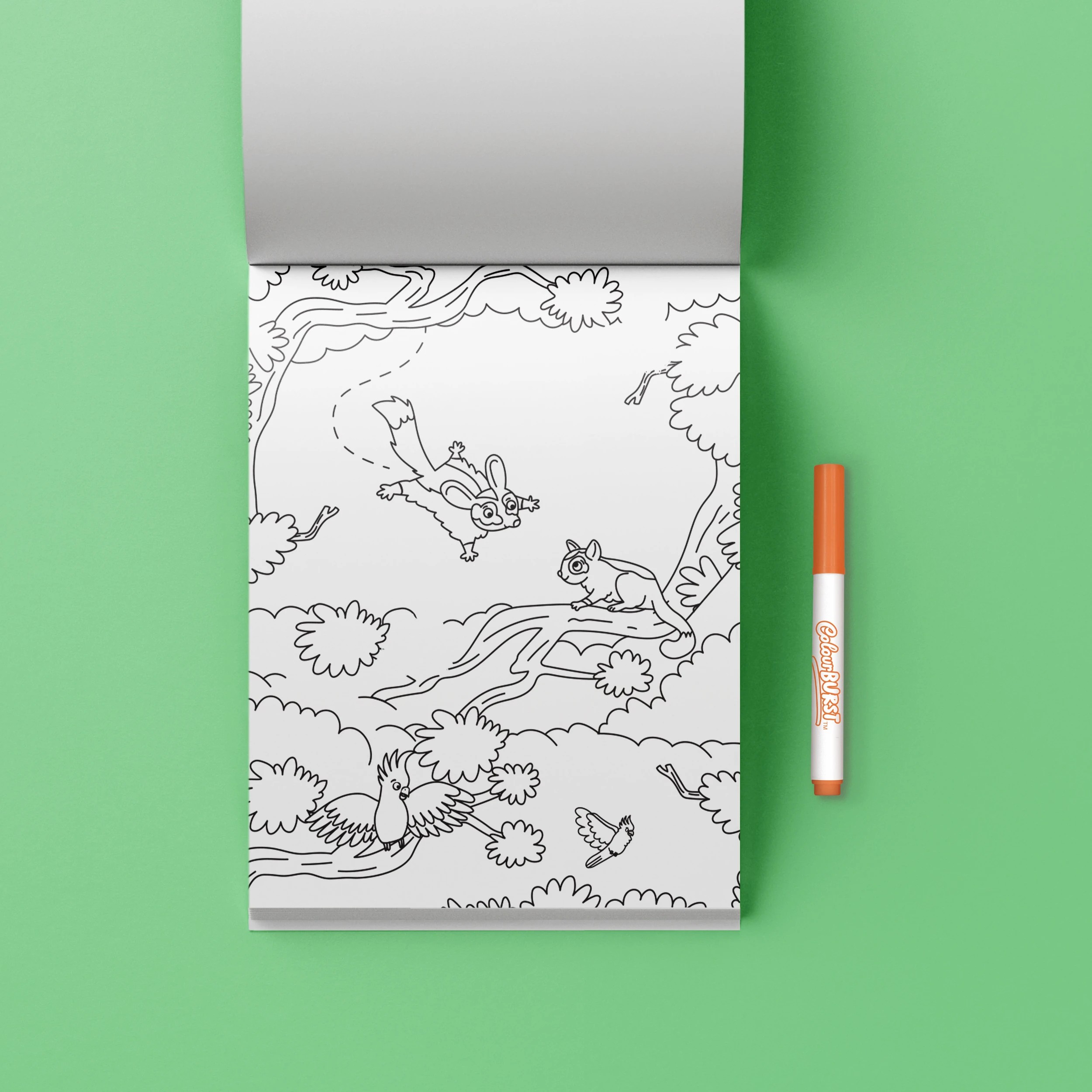 6 INKredibles Mess-Free Colour Burst Aussie Animals​ - Book, 6 of 6