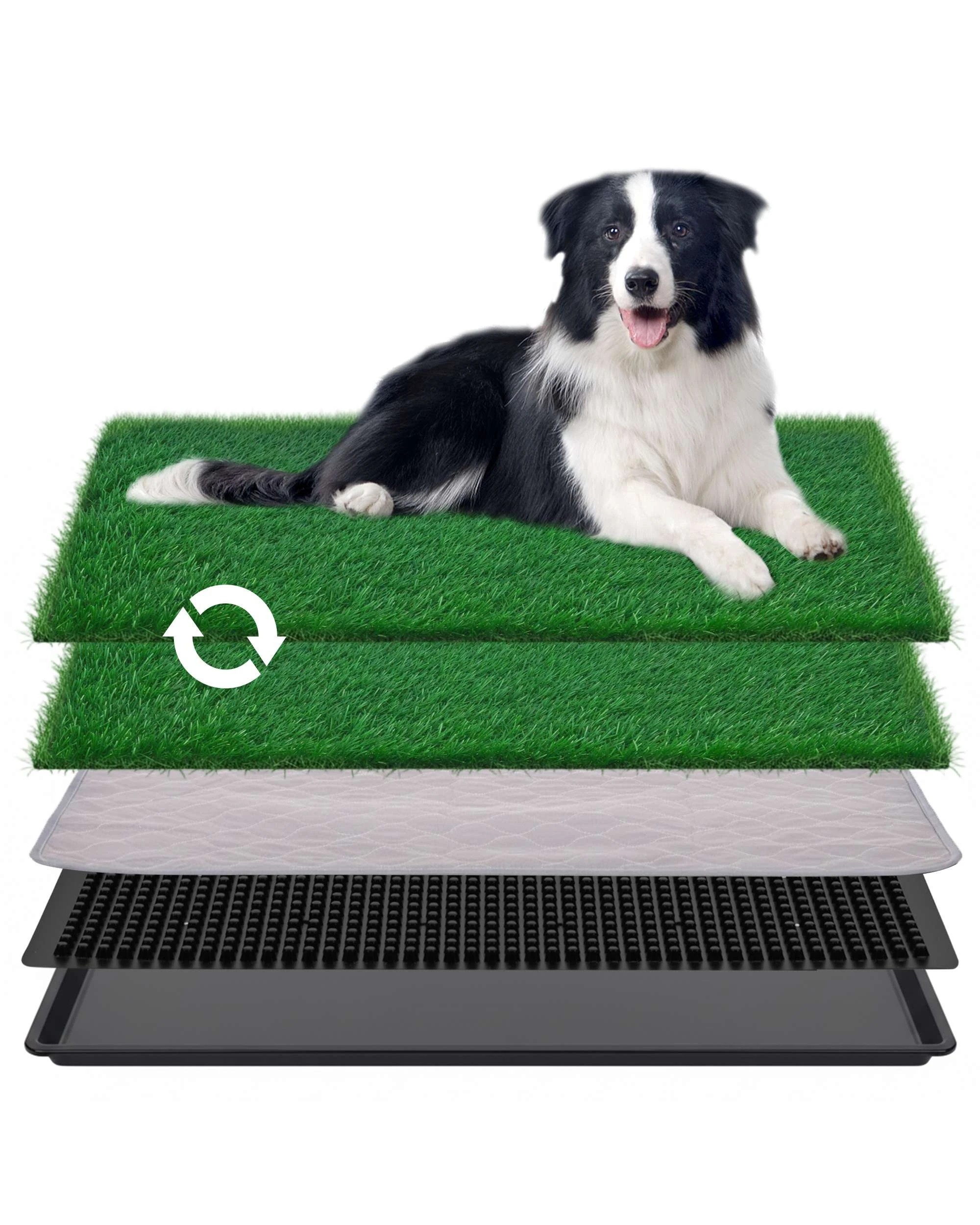 3 Advwin Dog Potty Training Pee Pad Mat Toilet, 3 of 6