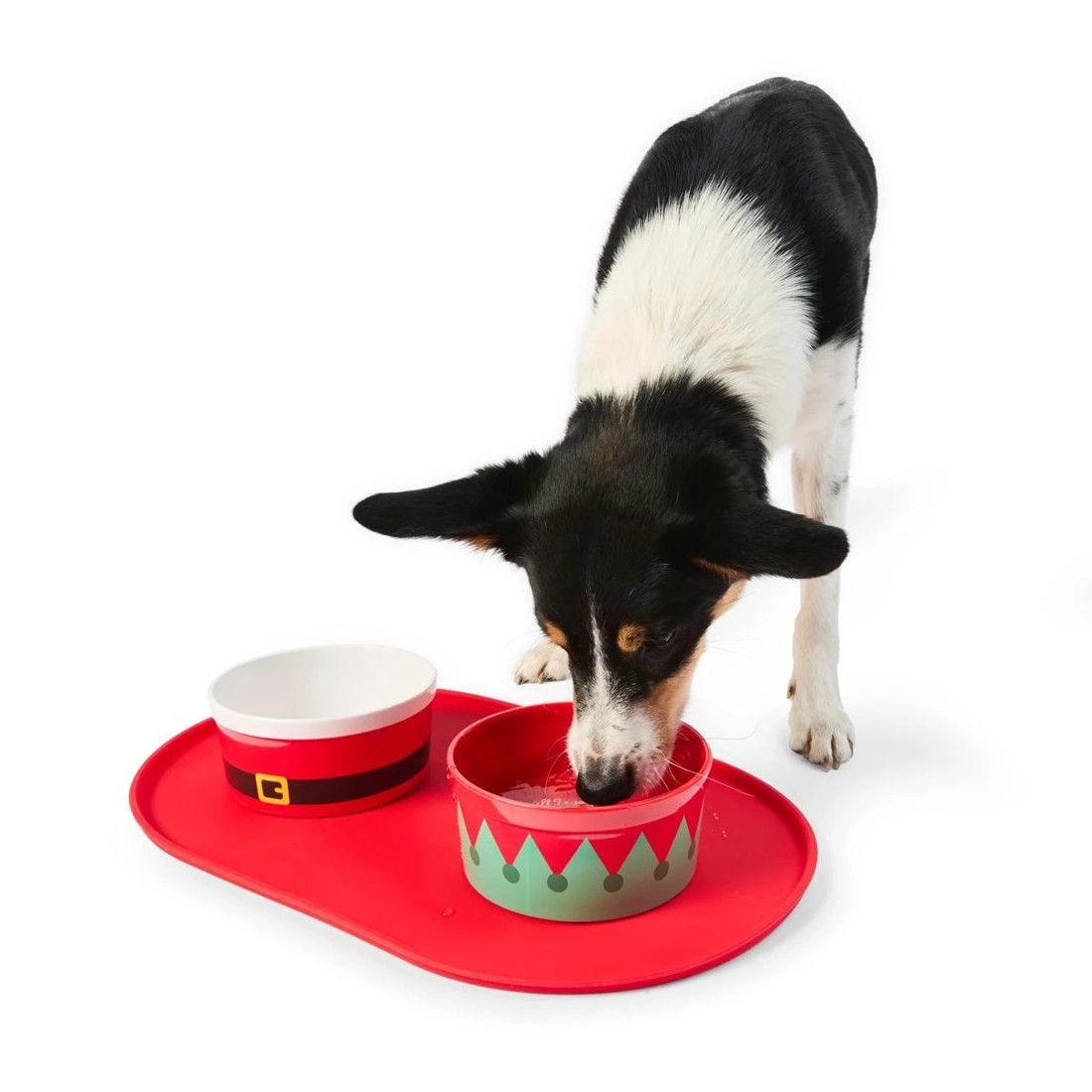 2 2 Pack Melamine Pet Bowl Set, 2 of 11
