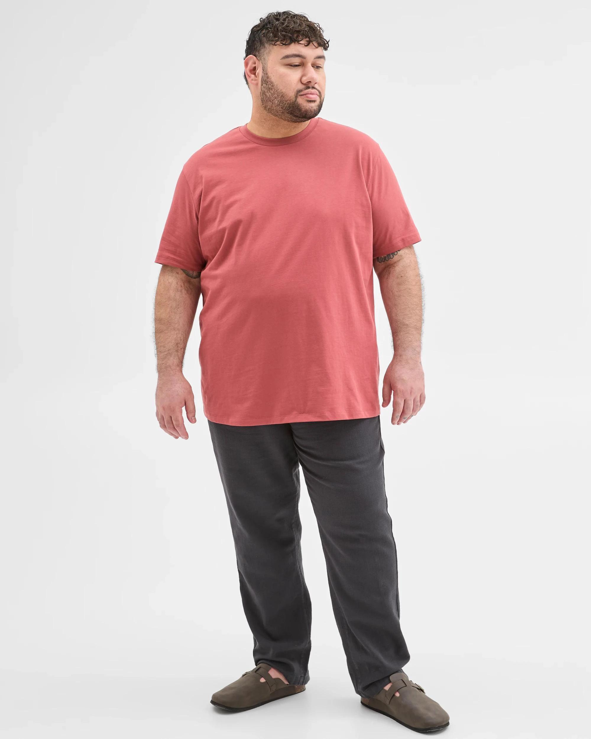 5 Target Man Plus Plus Size Australian Cotton Crew T-Shirt RED, 5 of 6