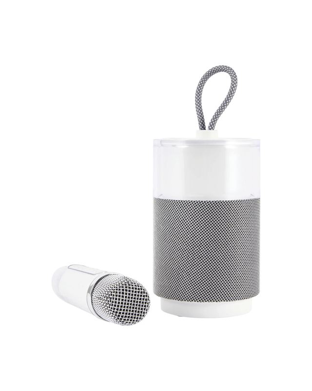 Karaoke Speaker with Voice Modifying Microphone - W