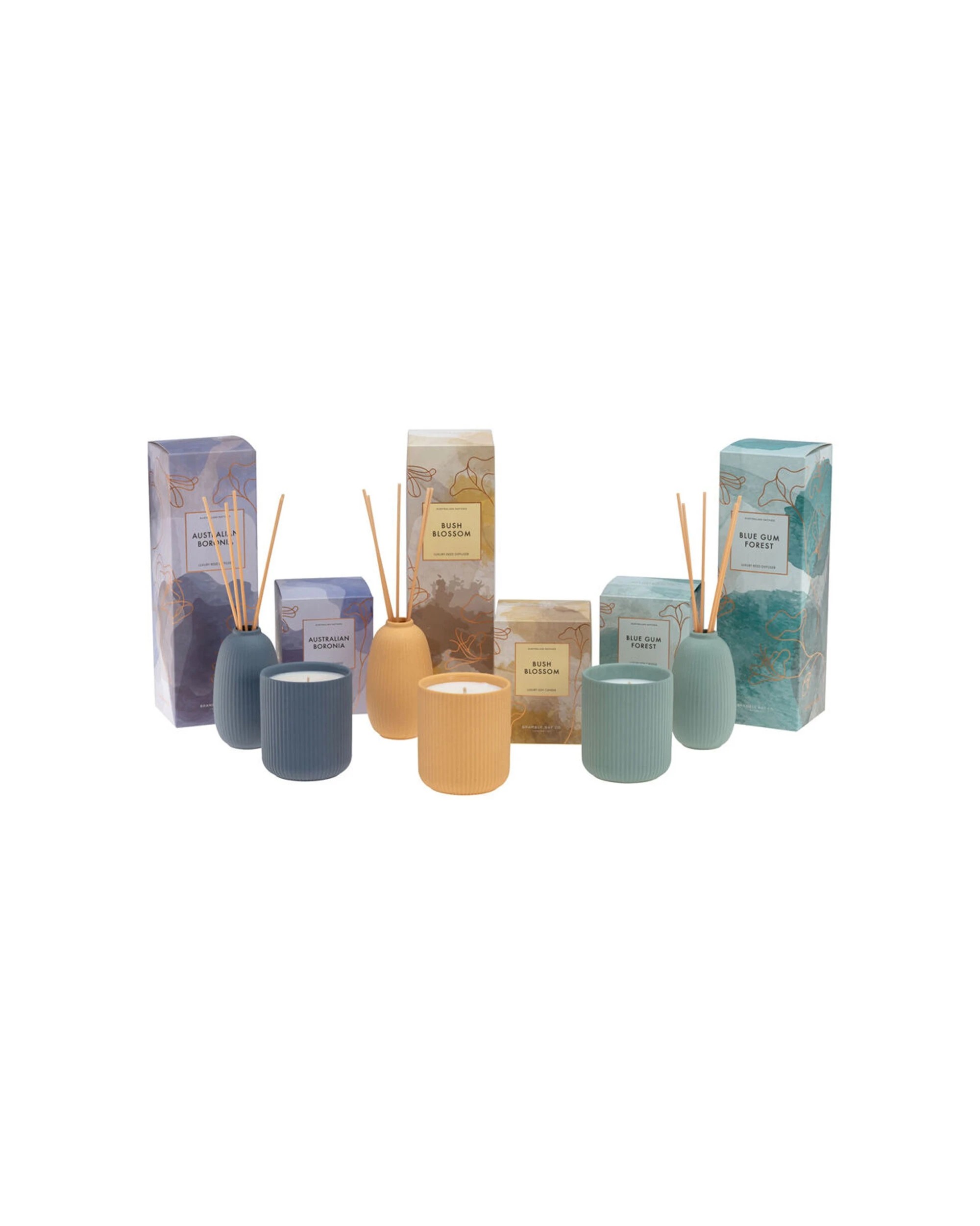 3 Bramble Bay Native Reed Diffuser Australian Boronia Scented Home Fragrance 150ml - Blue, 3 of 3